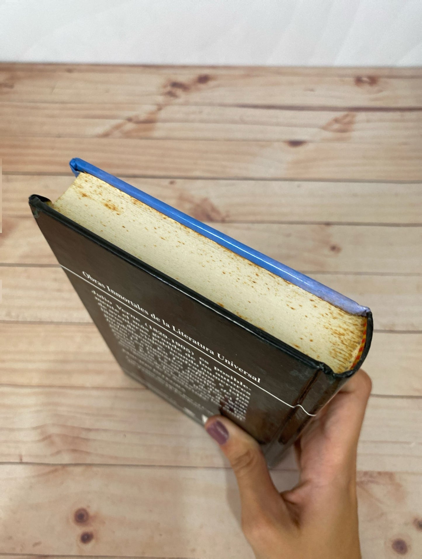 La esfinge de los hielos | Julio Verne