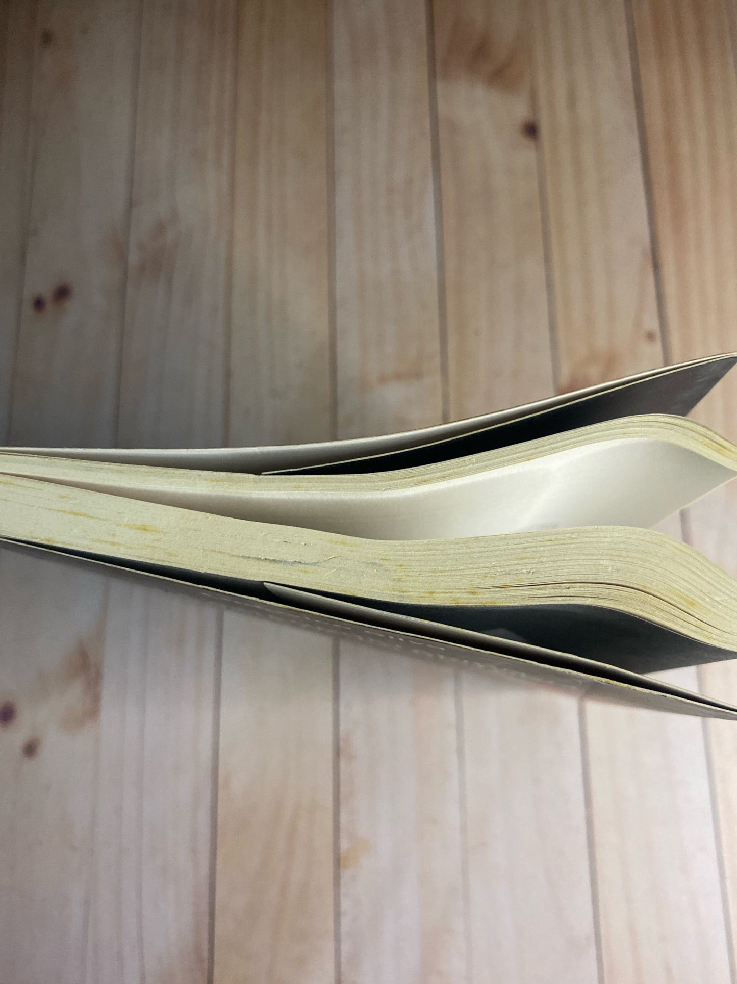 La interpretación femenina de la historia y otros ensayos | Ludovico Silva