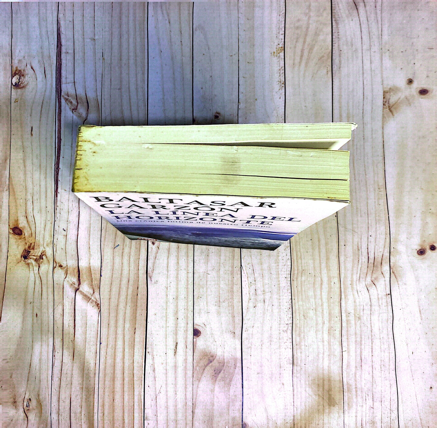 La línea del horizonte | Baltazar Garzón