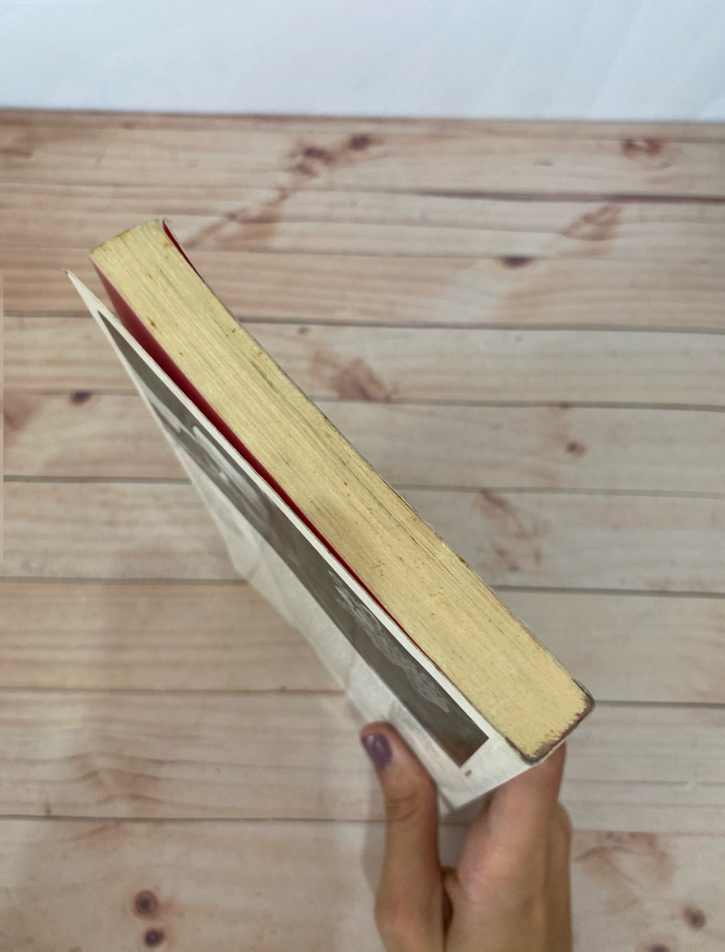 La más fiera de las bestias | Lucas García