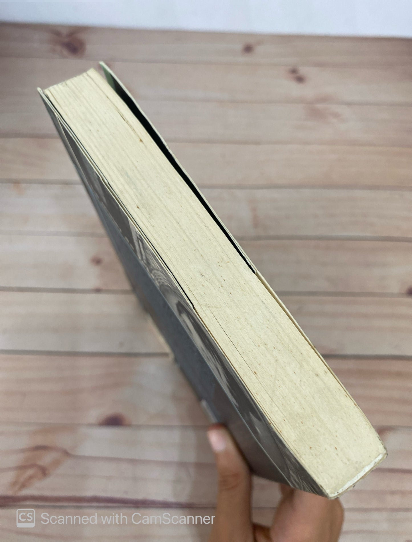 La mujer de verde | Arnaldur Indridason