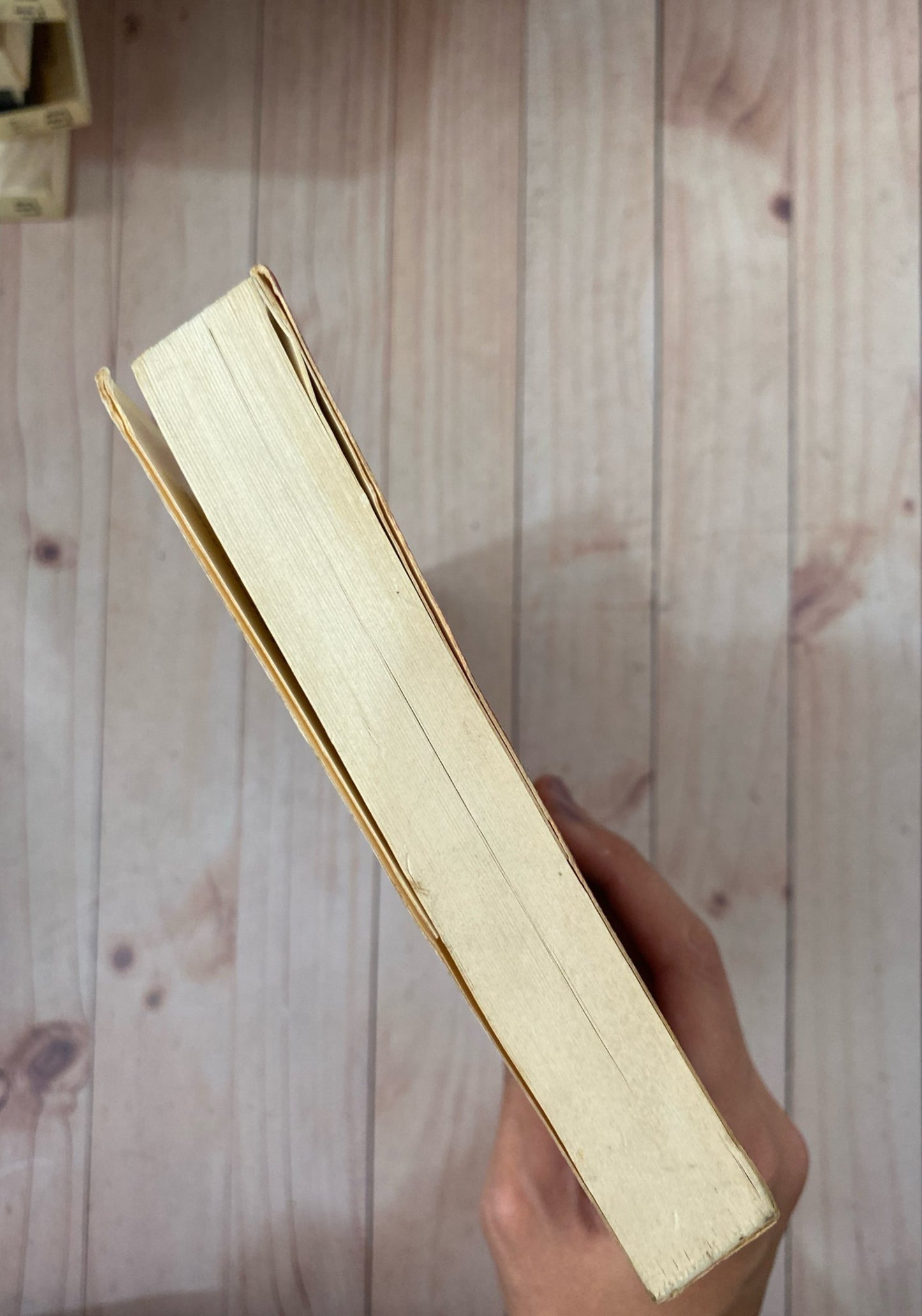 La nochevieja de Montalbano | Andrea Camilleri