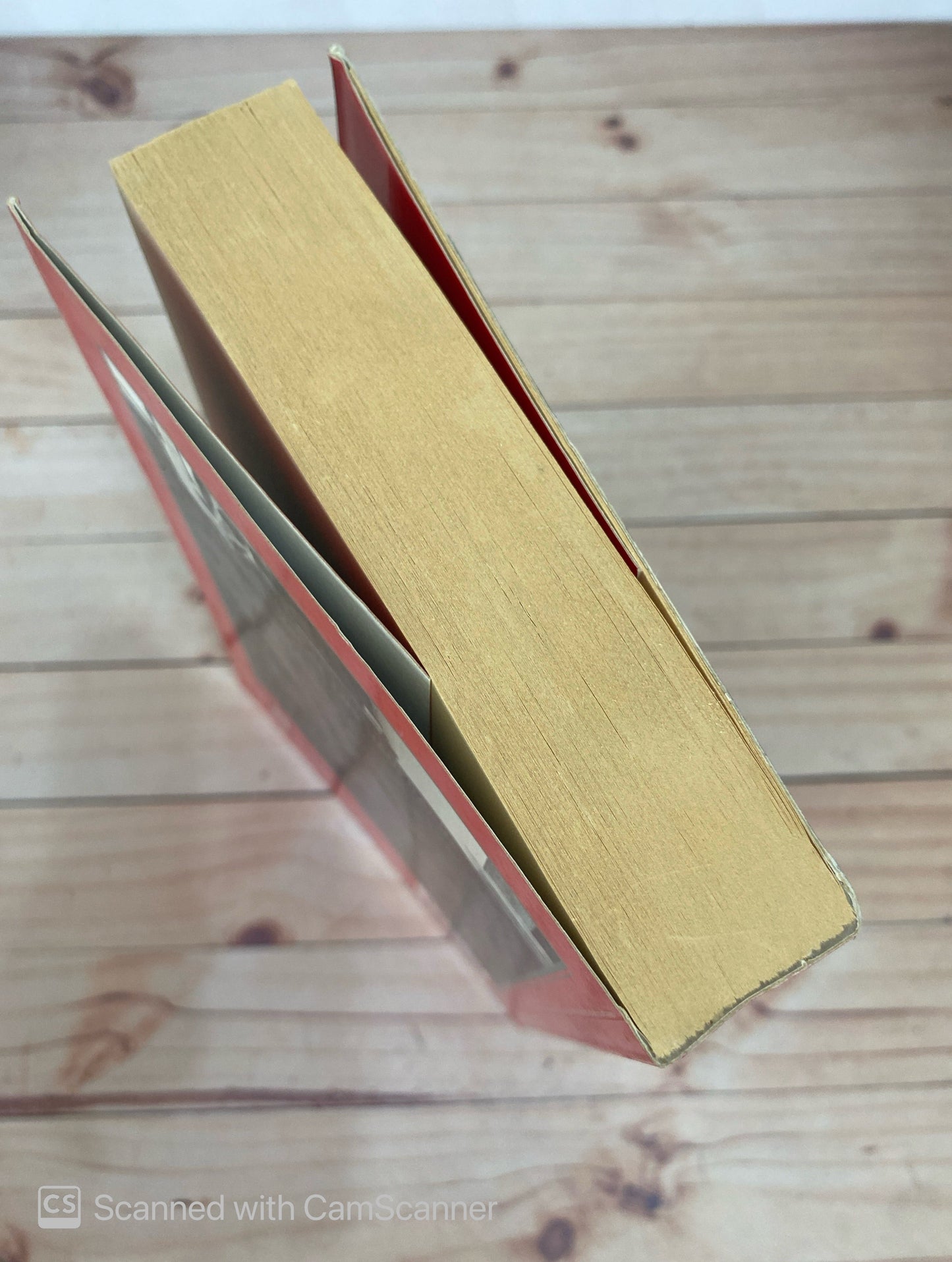 La rebelión de los náufragos | Mirtha Rivero