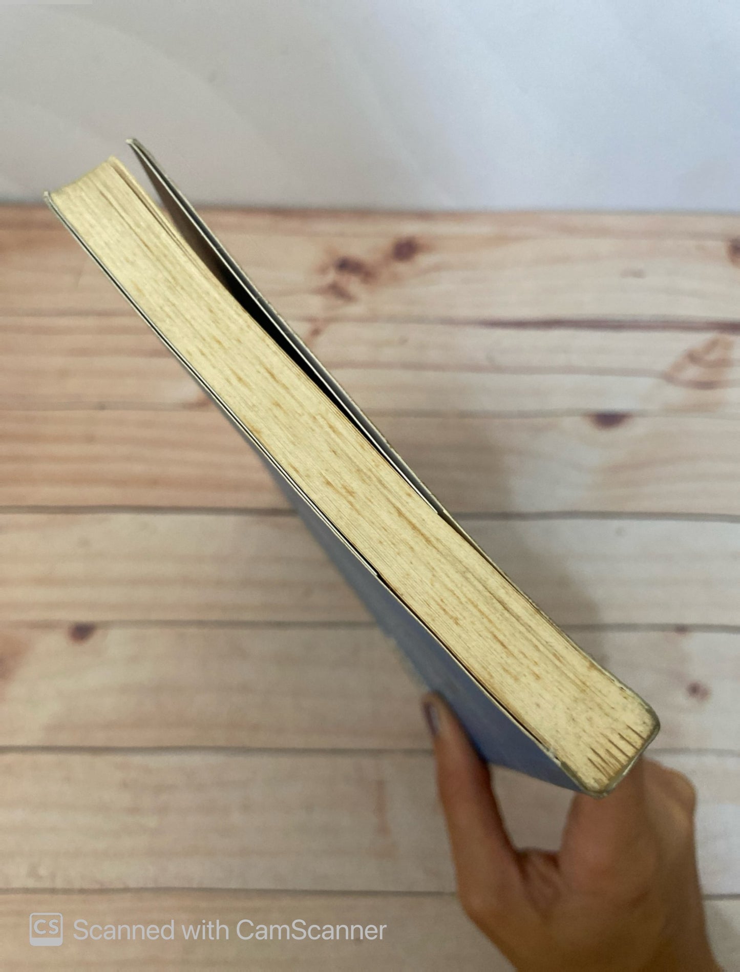 La segunda cabeza noticias extrañas 1 | Marcelo Birmajer