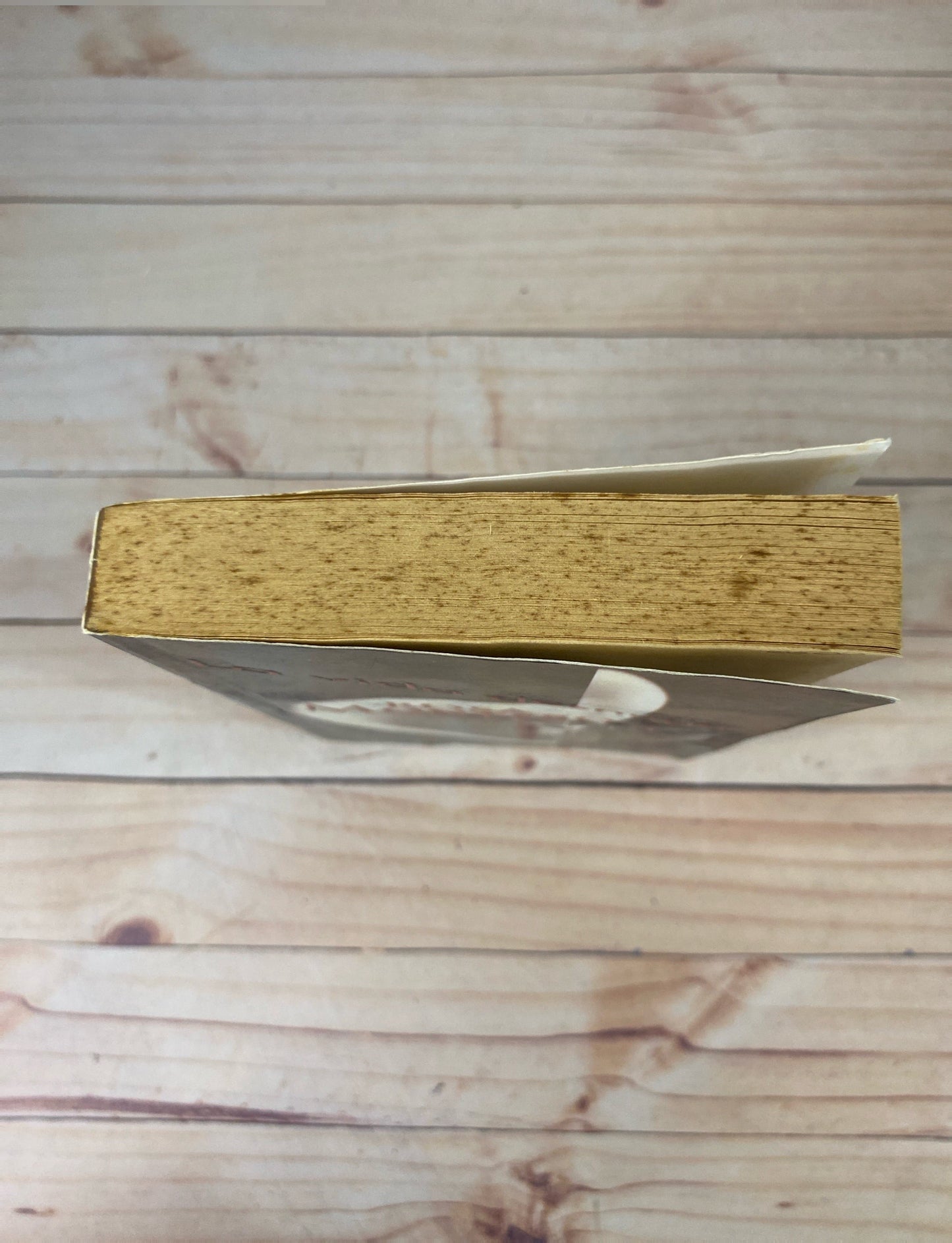 La vida desnuda | Rosa Montero