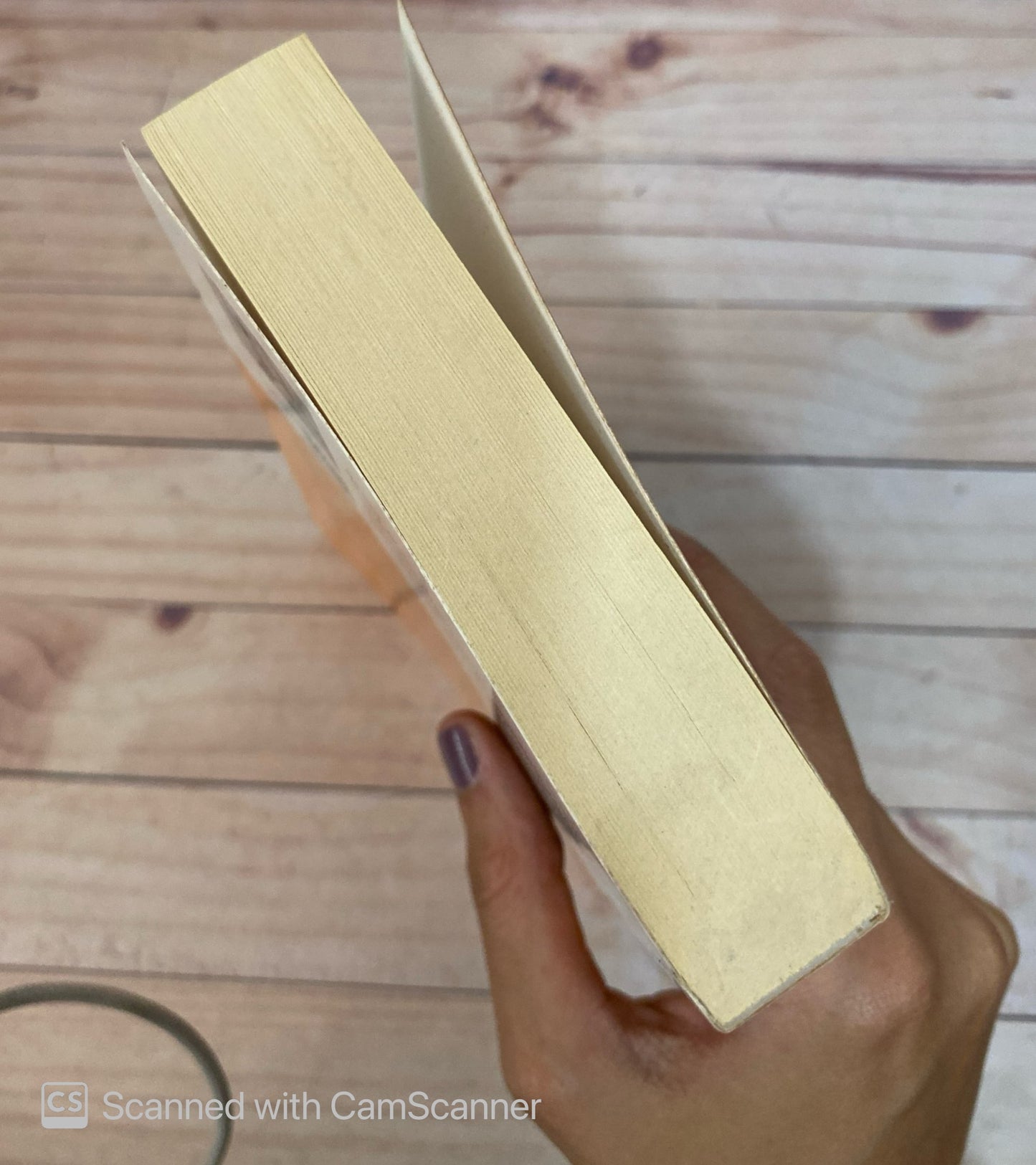 La virgen Gitana | Santa Montefiore