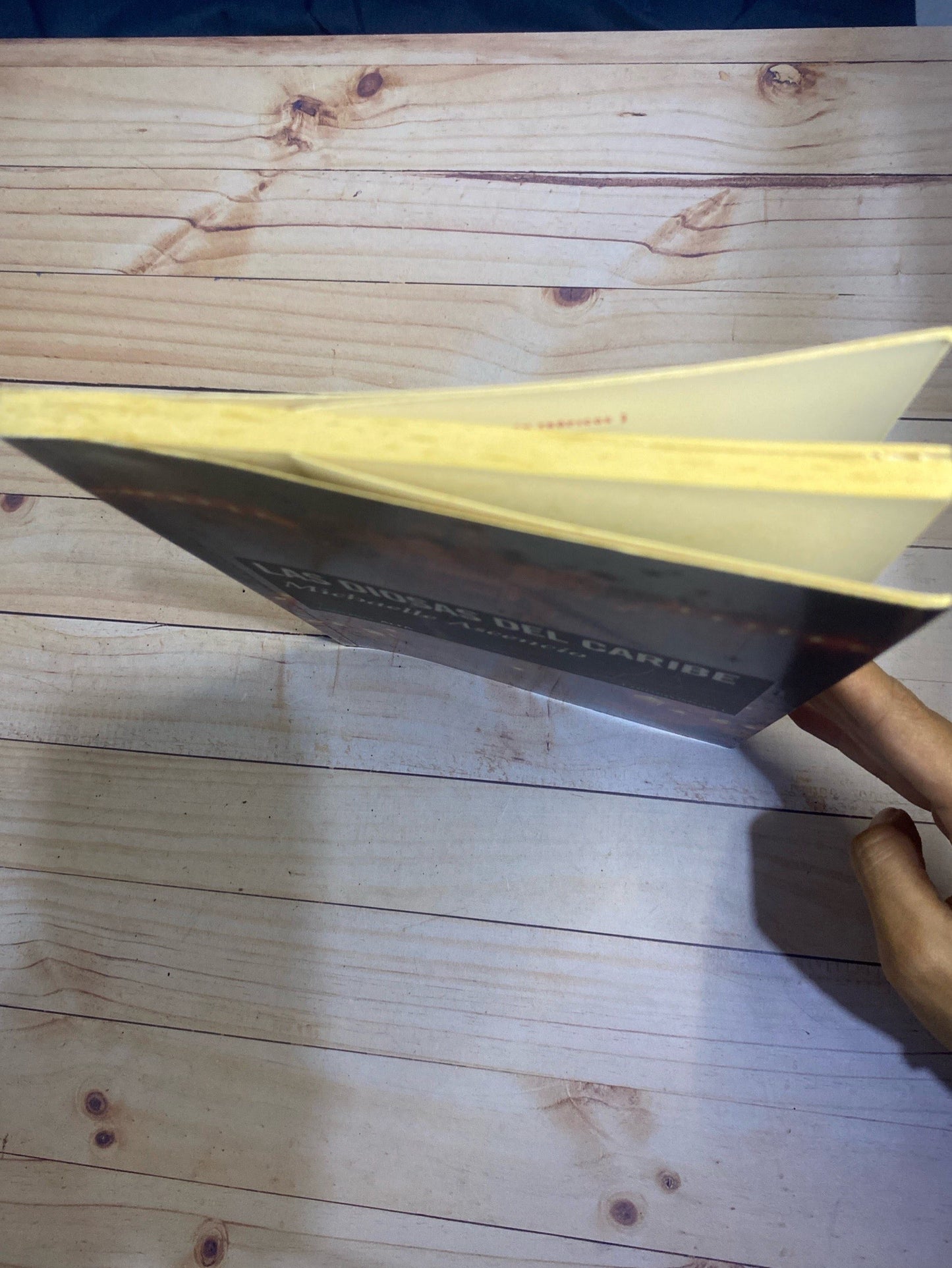 Las diosas del caribe | Michaelle Ascencio