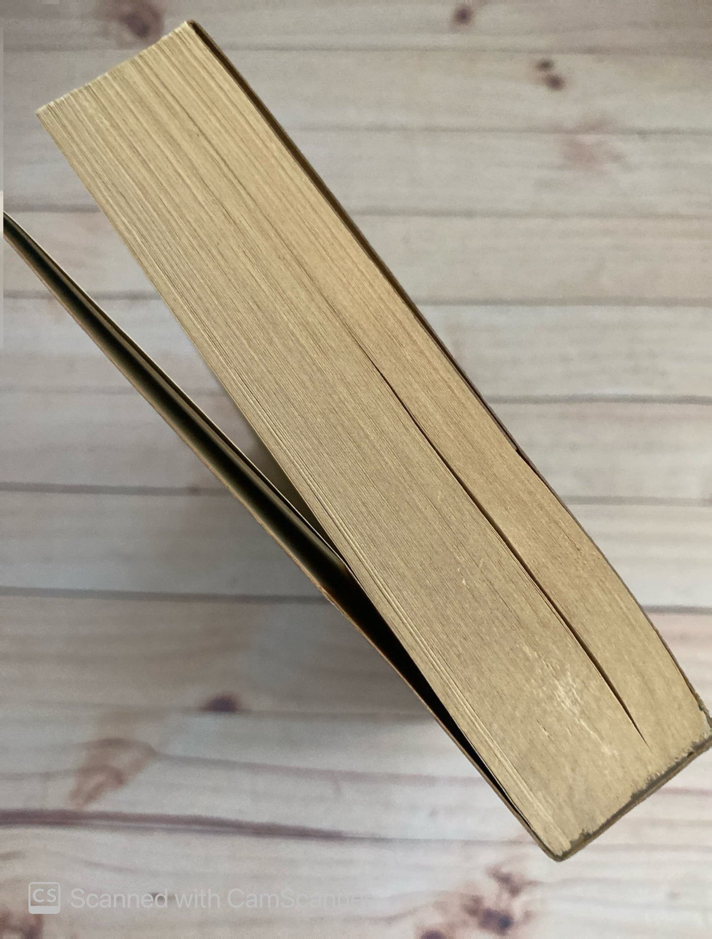 Las siete iglesias | Milos Urban