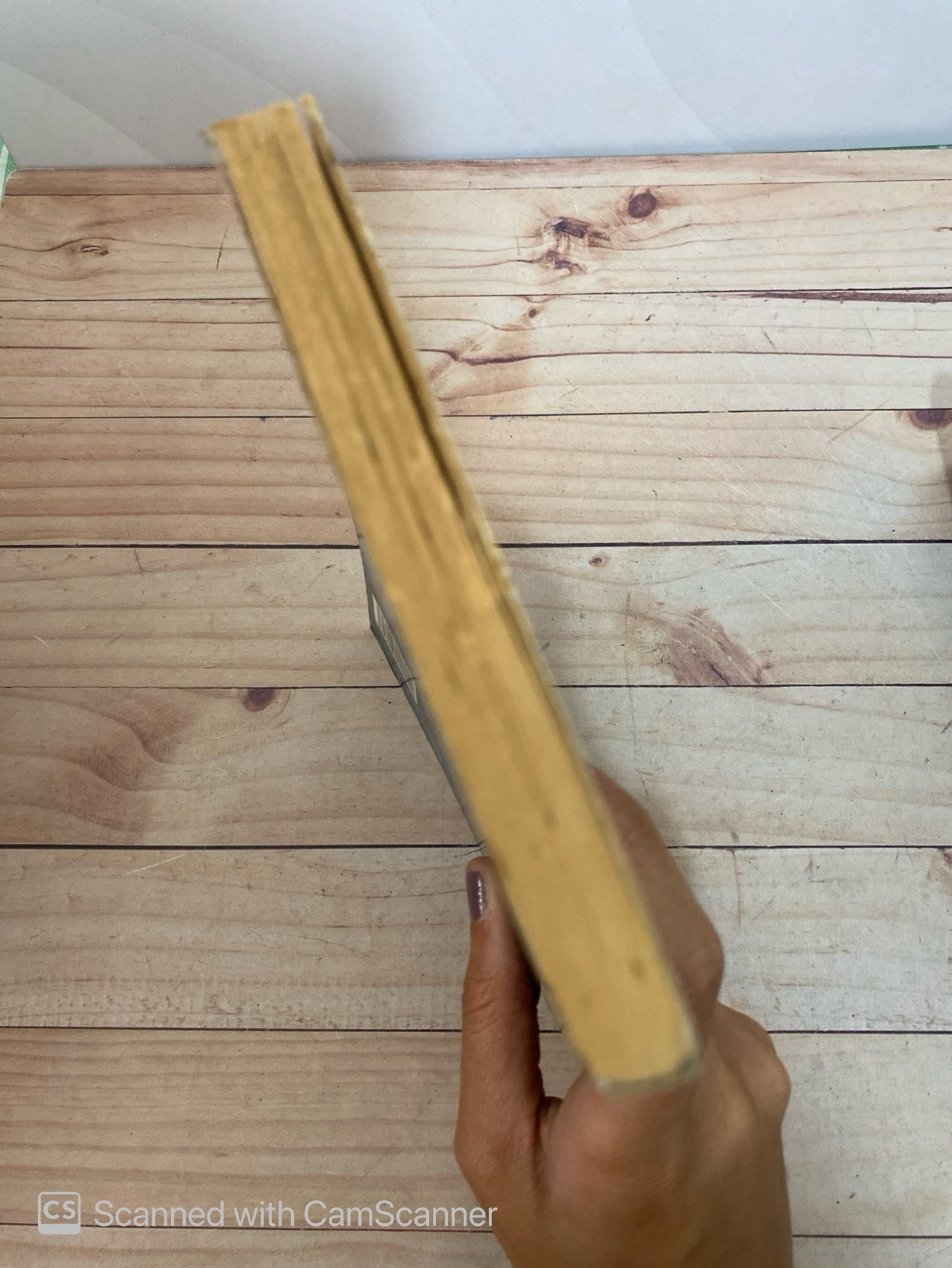 Leyendas históricas de venezuela | Arístides Rojas