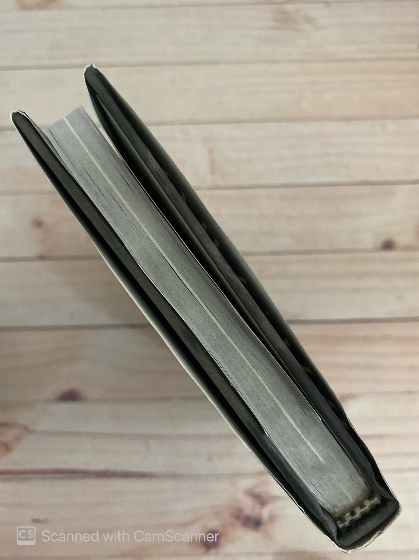 Lo que no digo cantando | Ricardo Montaner