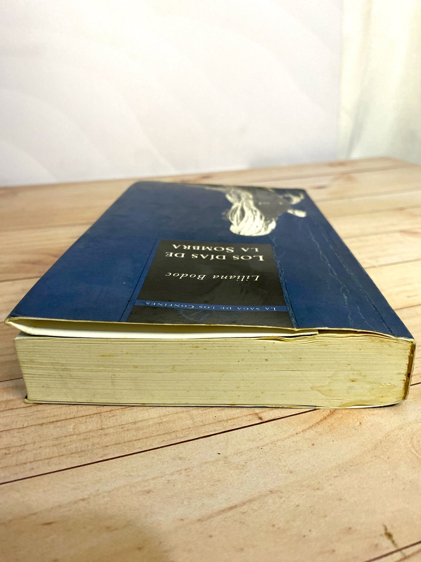 Los días de sombra | Liliana Bodoc