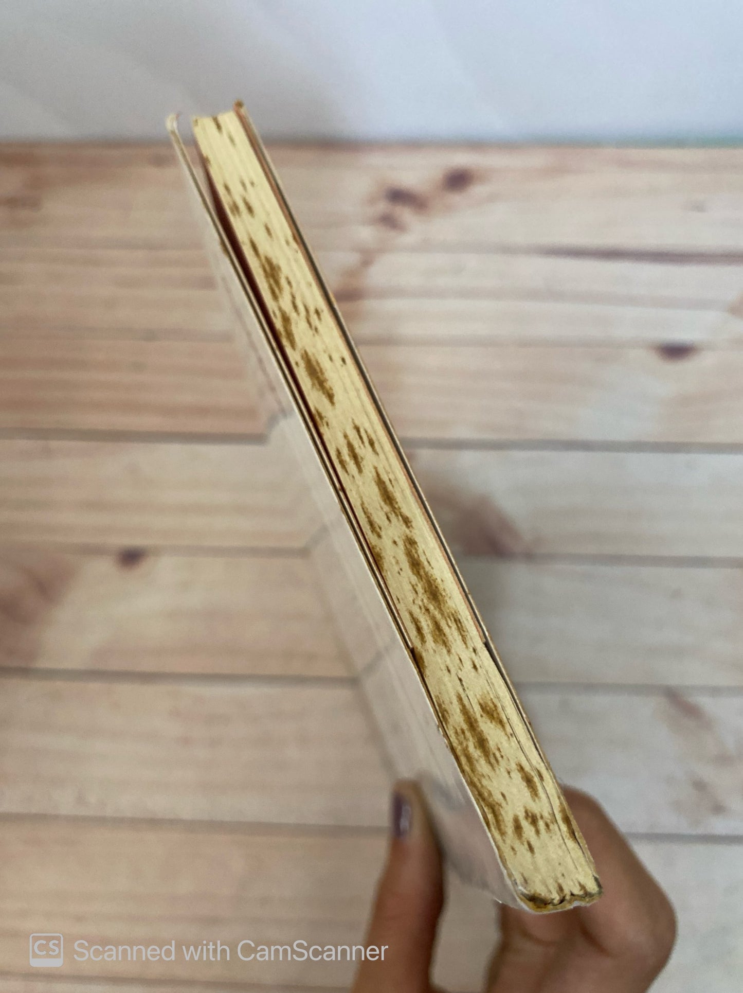 Los mágicos | José Pulido