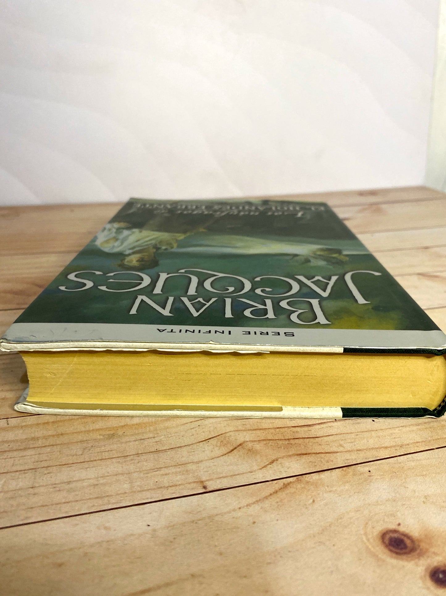 Los naúfragos de El holandés Errante | Brian Jacques