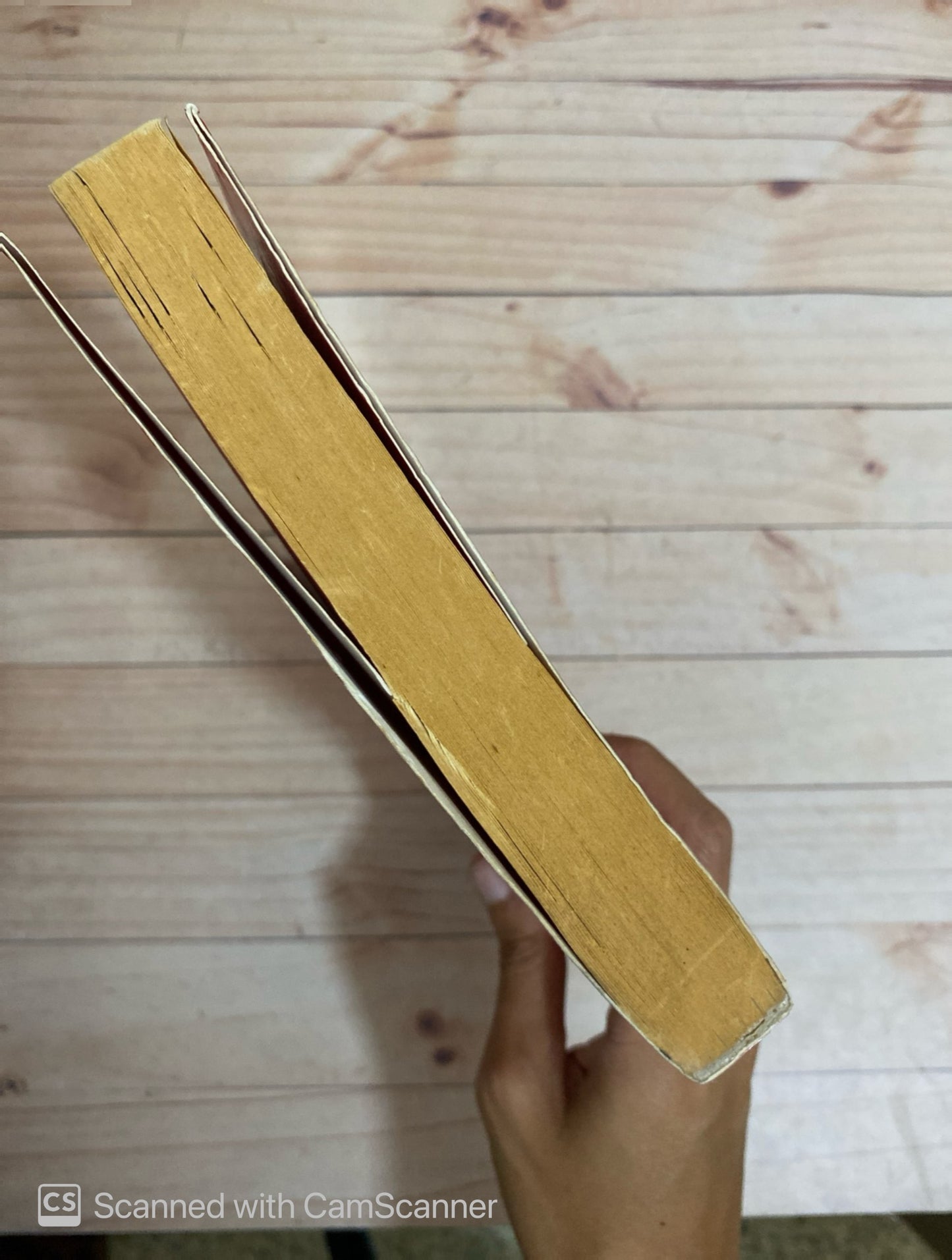 Manual para no morir de amor | Walter Riso