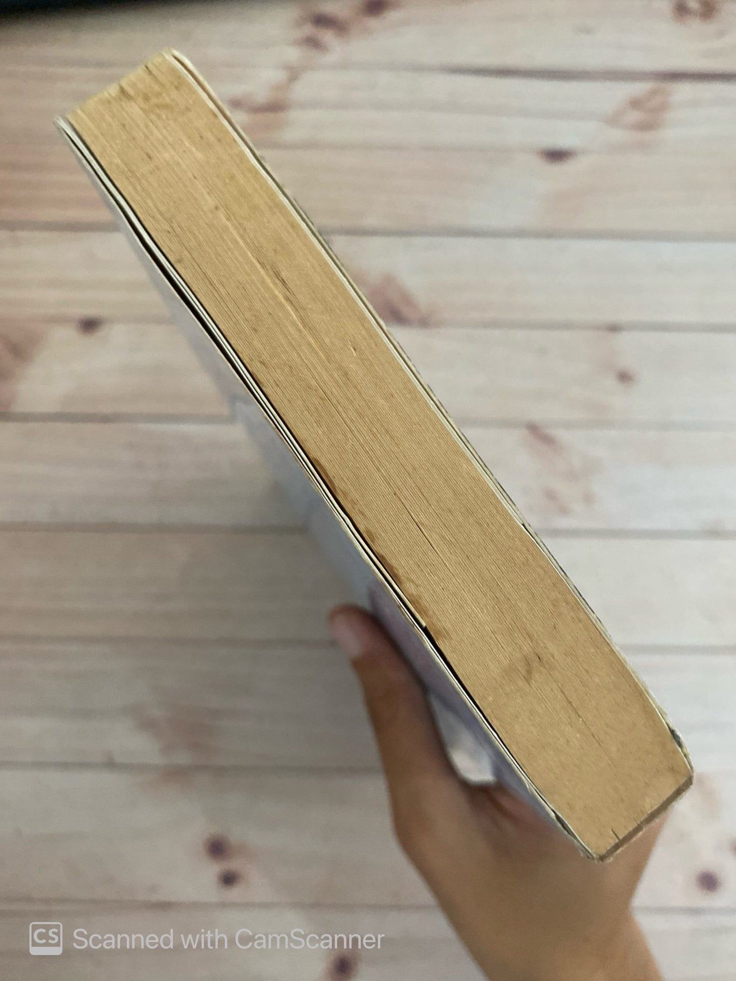 Maridos |Ángeles mastretta