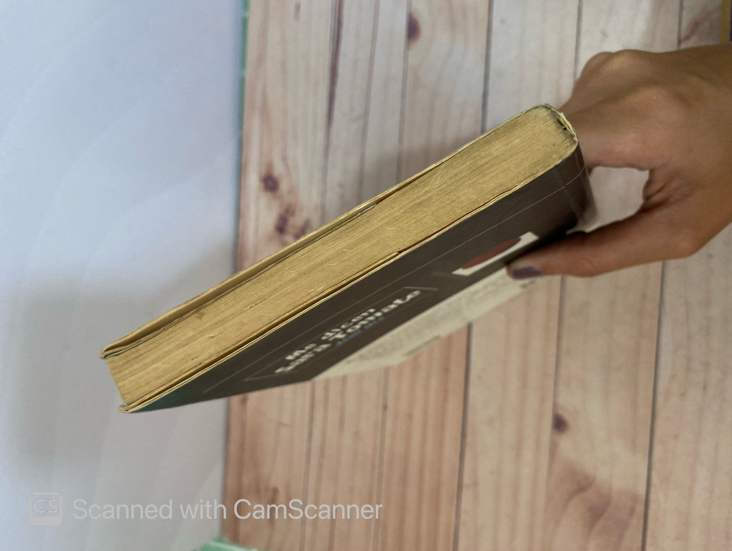 Me dicen Sara Tomate | Jean Ure