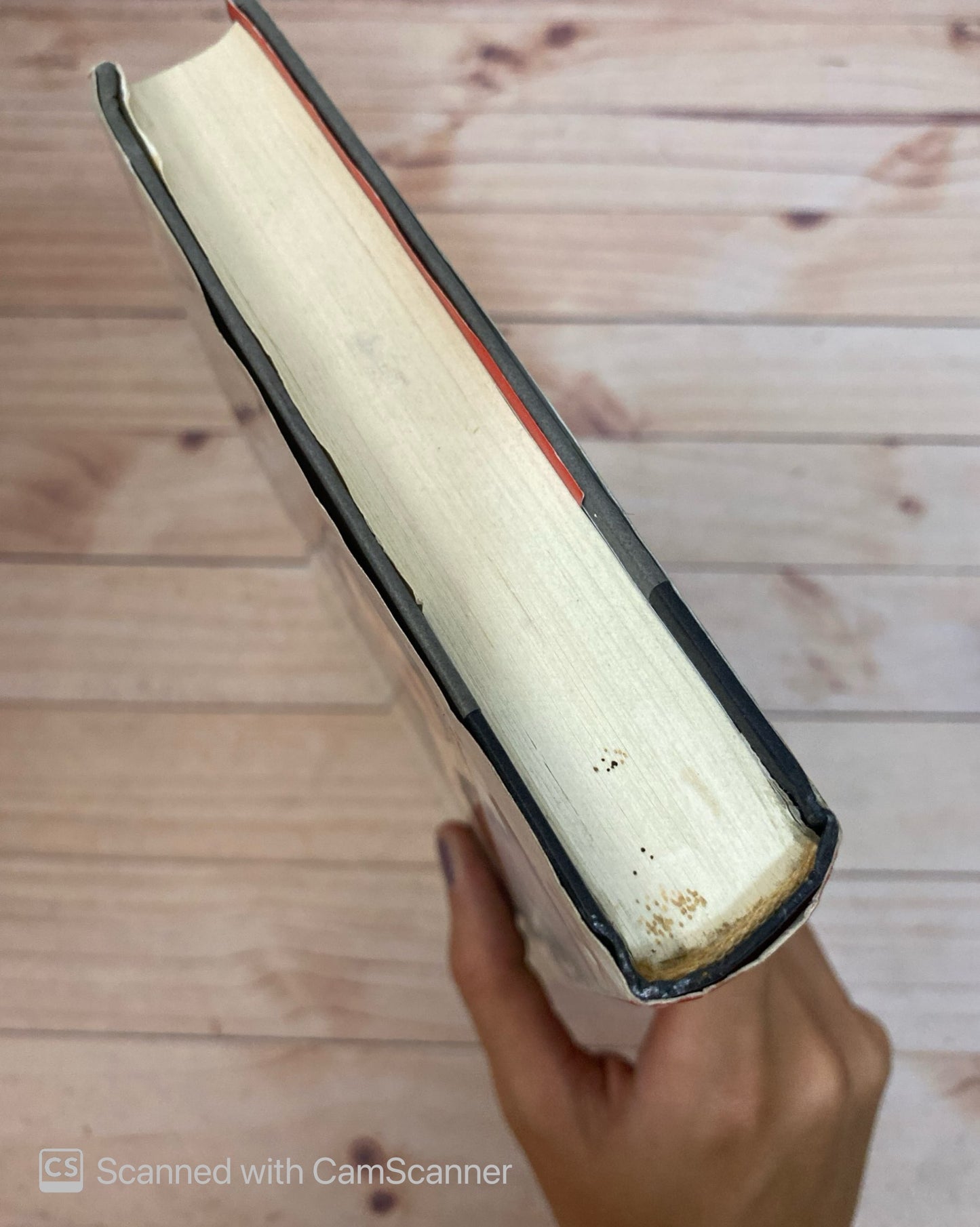 Melocotones helados | Espido Freire