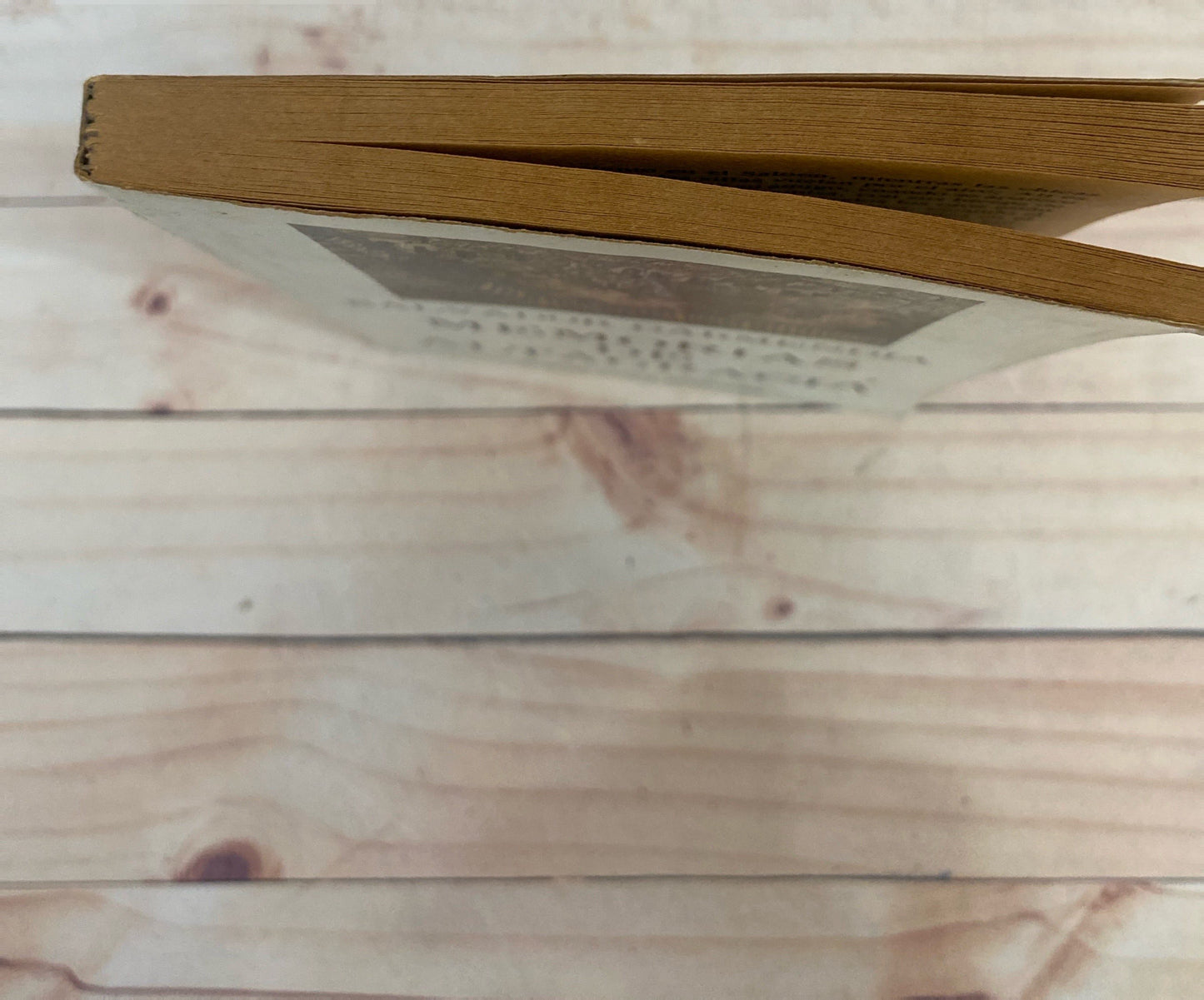 Memorias de altagracia | Salvador Garmendia