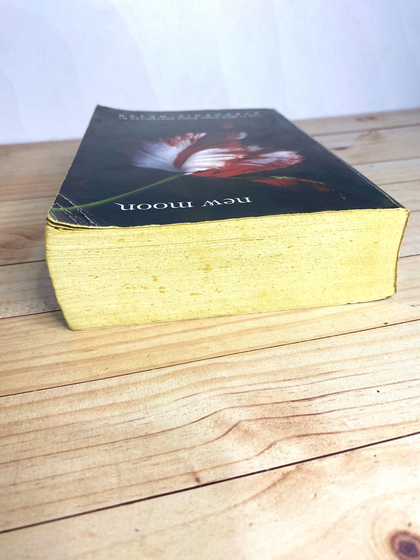 New Moon | Stephanie Meyer
