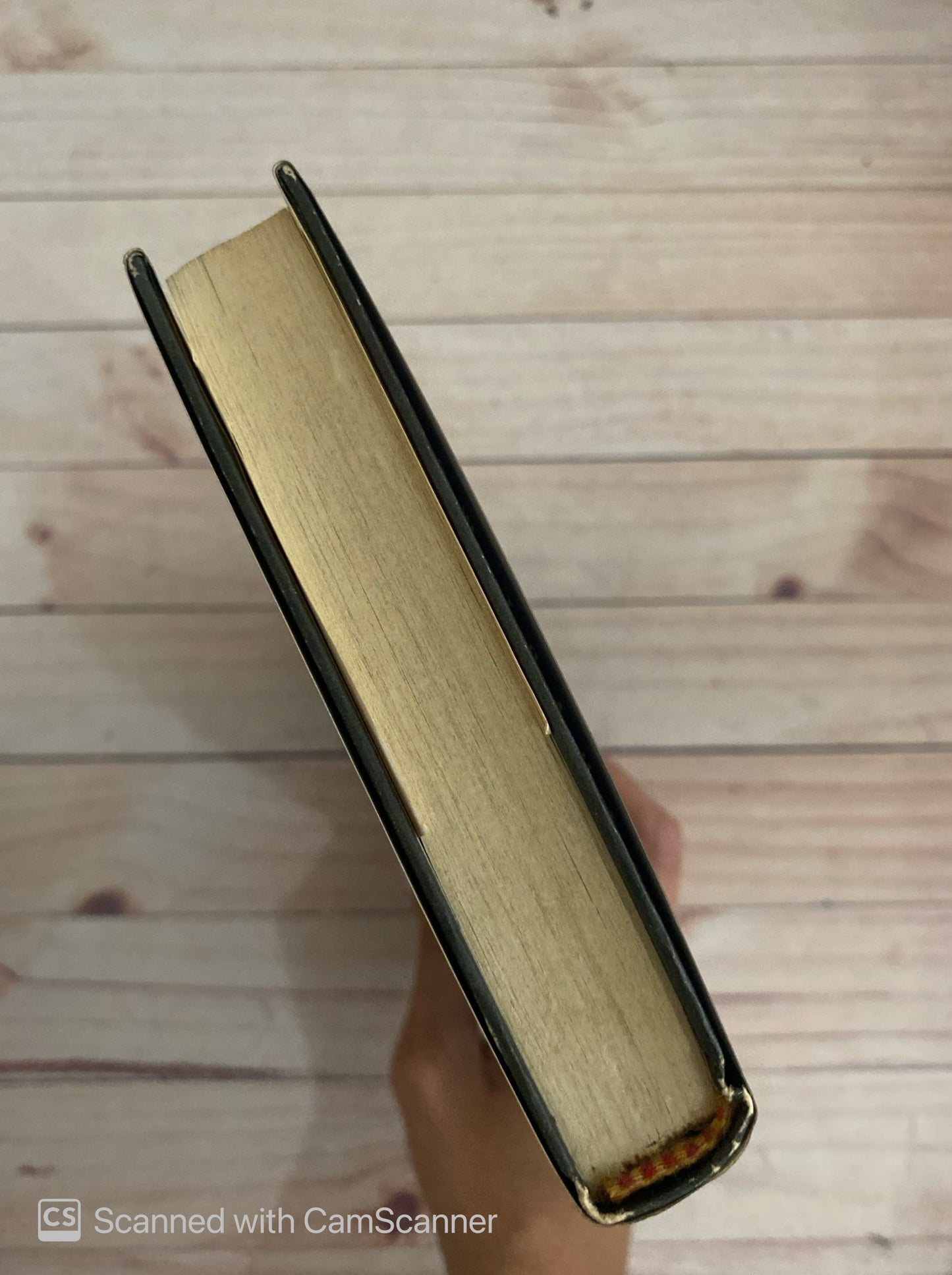 Oculto en la profundidad | Stuart Woods