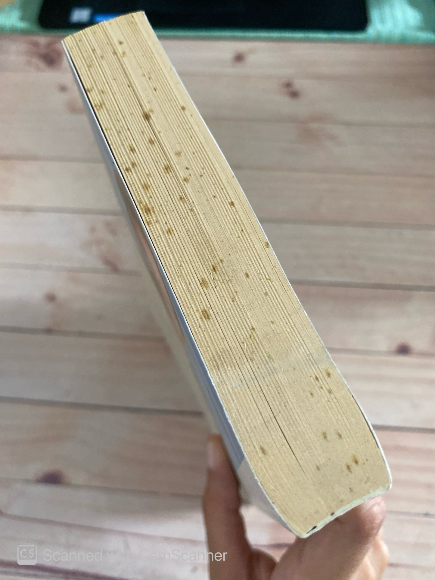 Ogni Angelo é tremendo | Susana tamaro