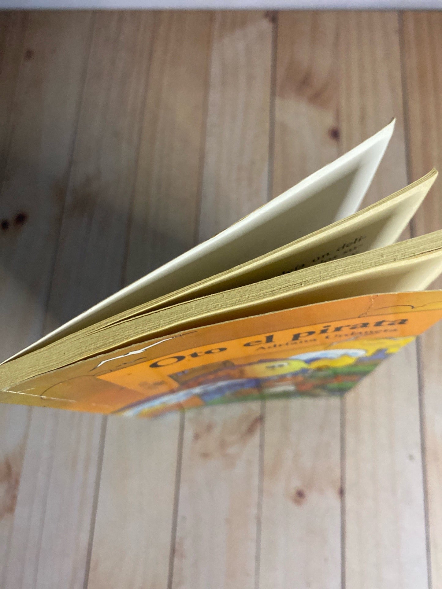 Oto el pirata | Adriana Urdaneta