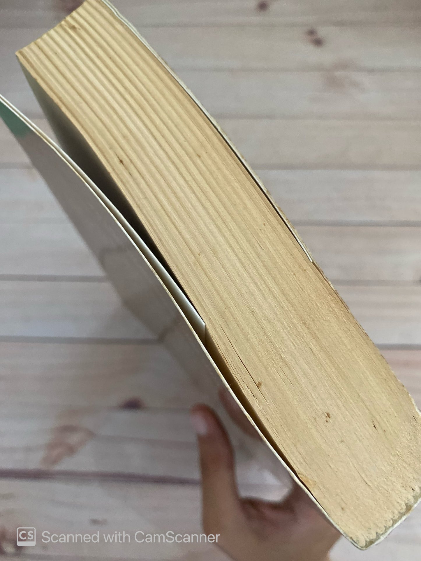 Pandora en el congo | Albert Sánchez Piñol