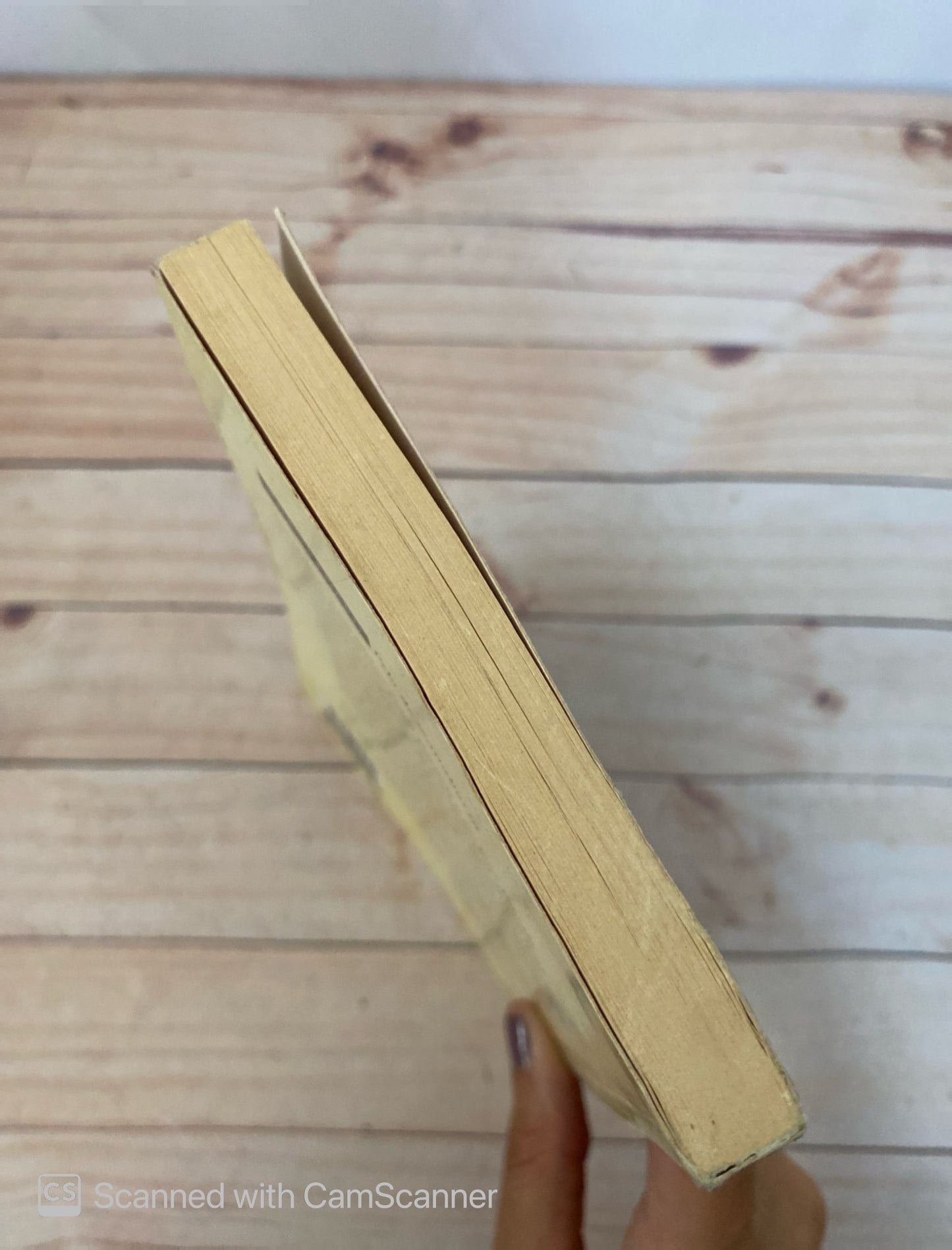 Pelo de zanahoria | Jules Renard