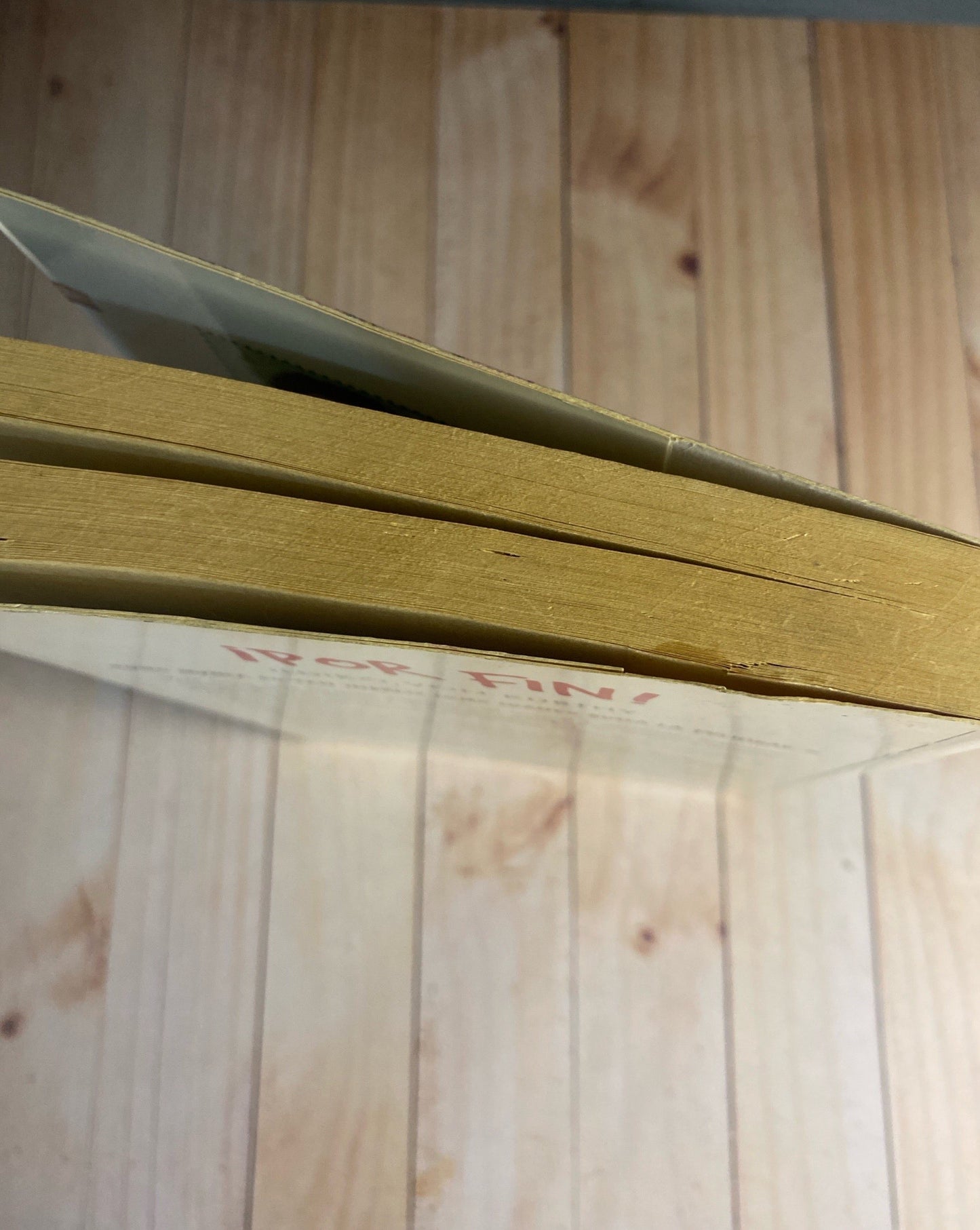 Por fin | Ildiko Von Kurthy