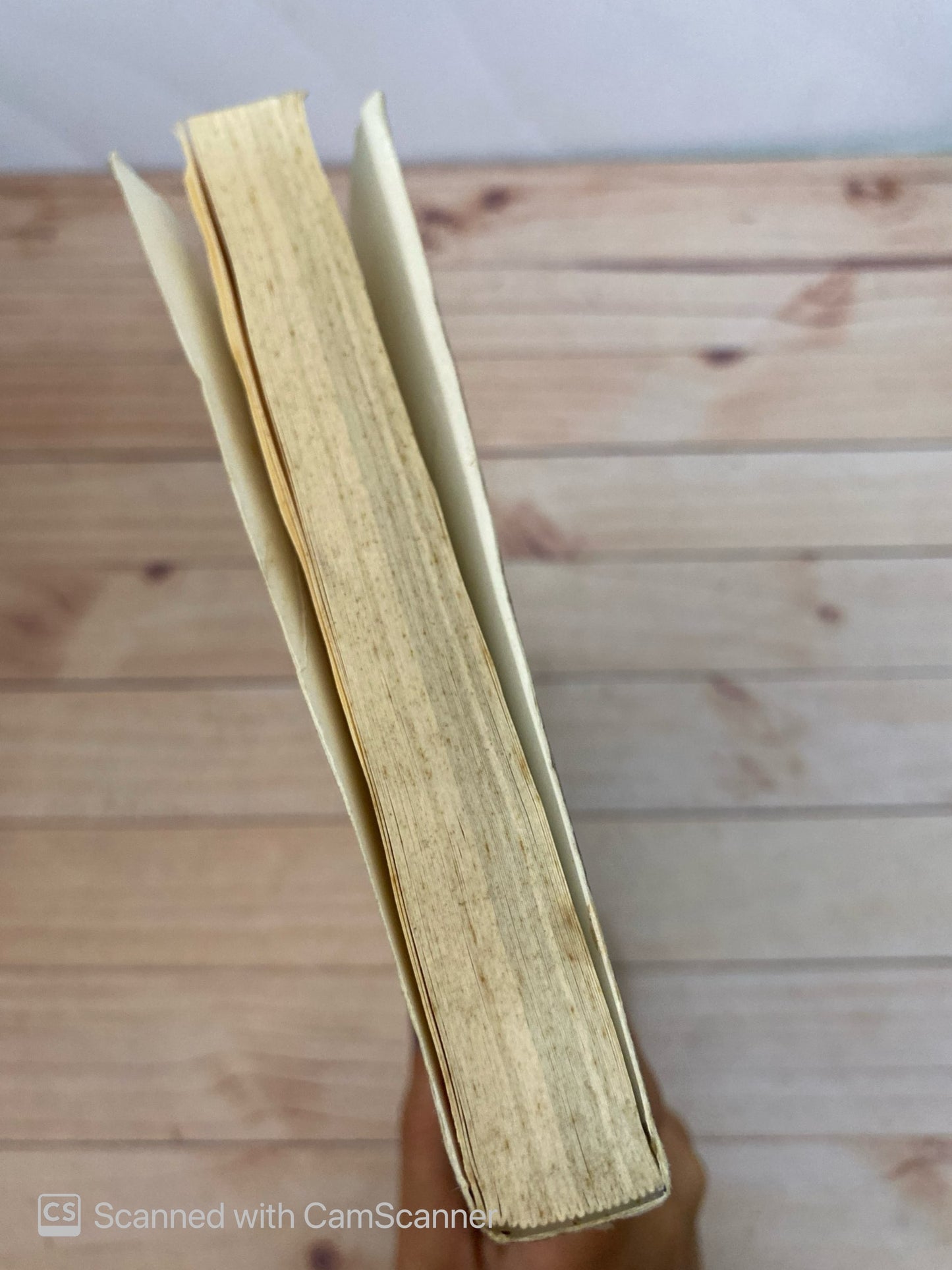 Qué es la democracia? | Alain Touraine