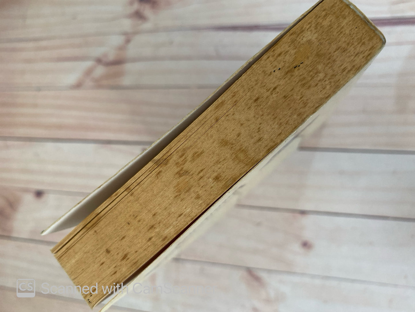 Ravensdale | Kate Fielding