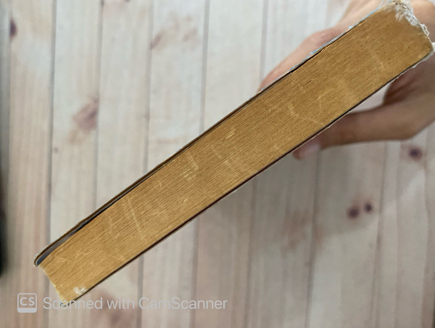 Relatos | Francisco Massiani