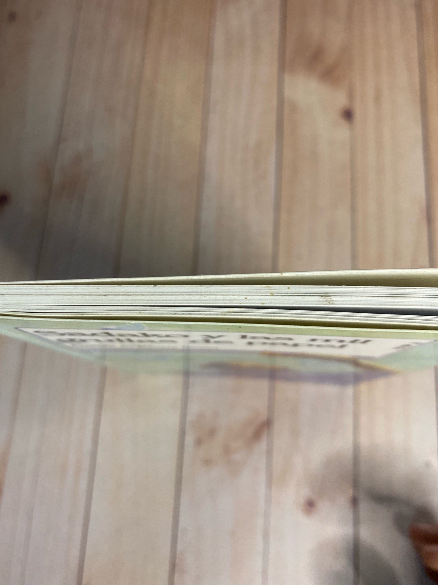 Sadako y las mil grullas de papel | Eleanor Coerr