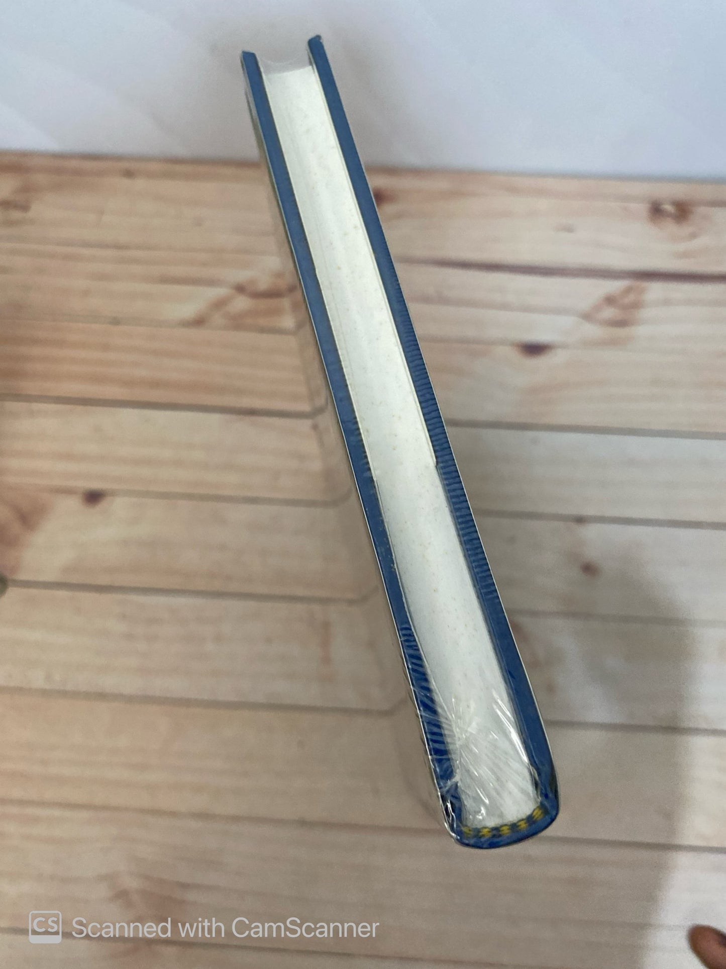 Scientology 8-80 | L. Ronald Hubbard