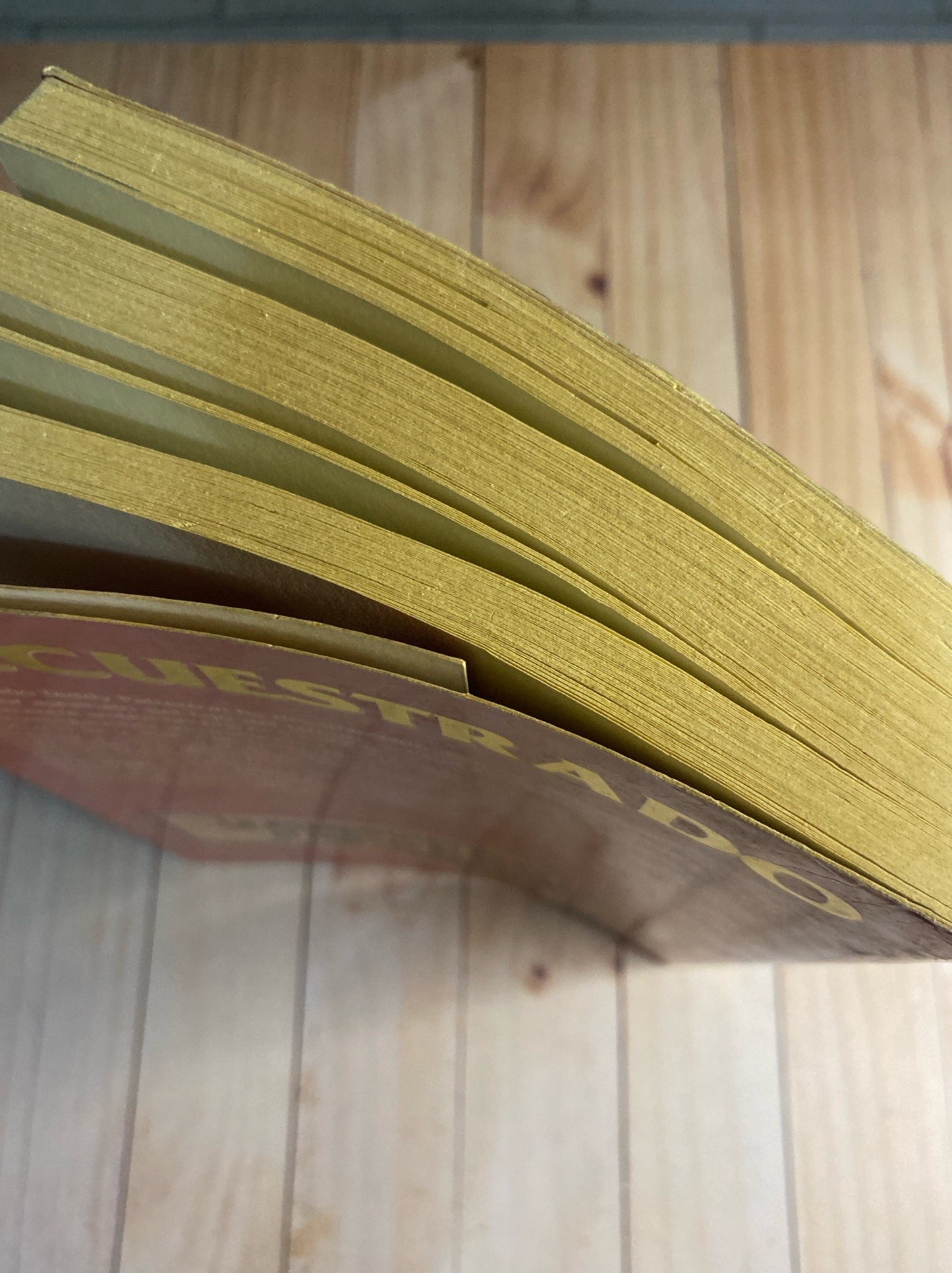 Secuestrado | Danielle Steel