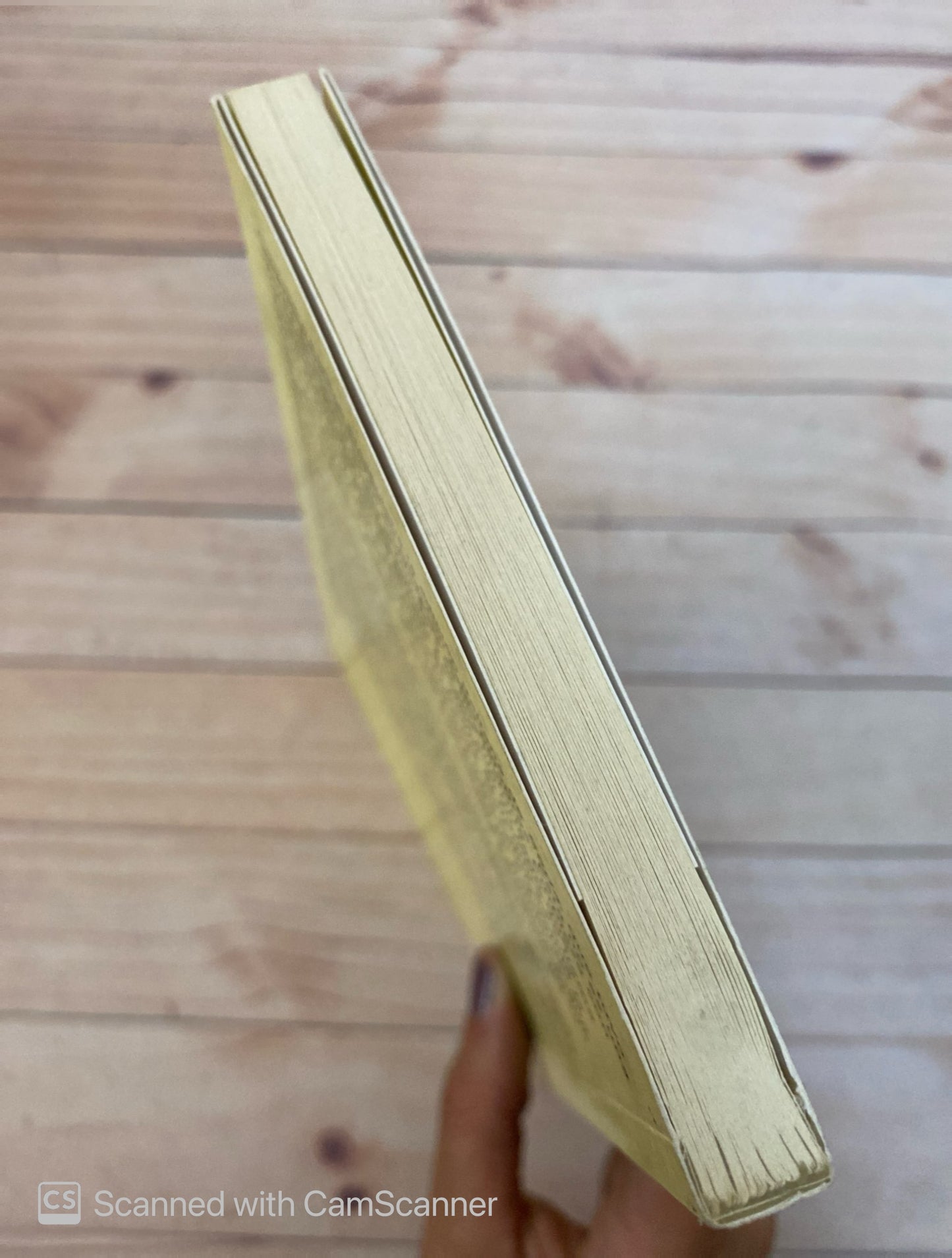 Seda | Alessandro Baricco