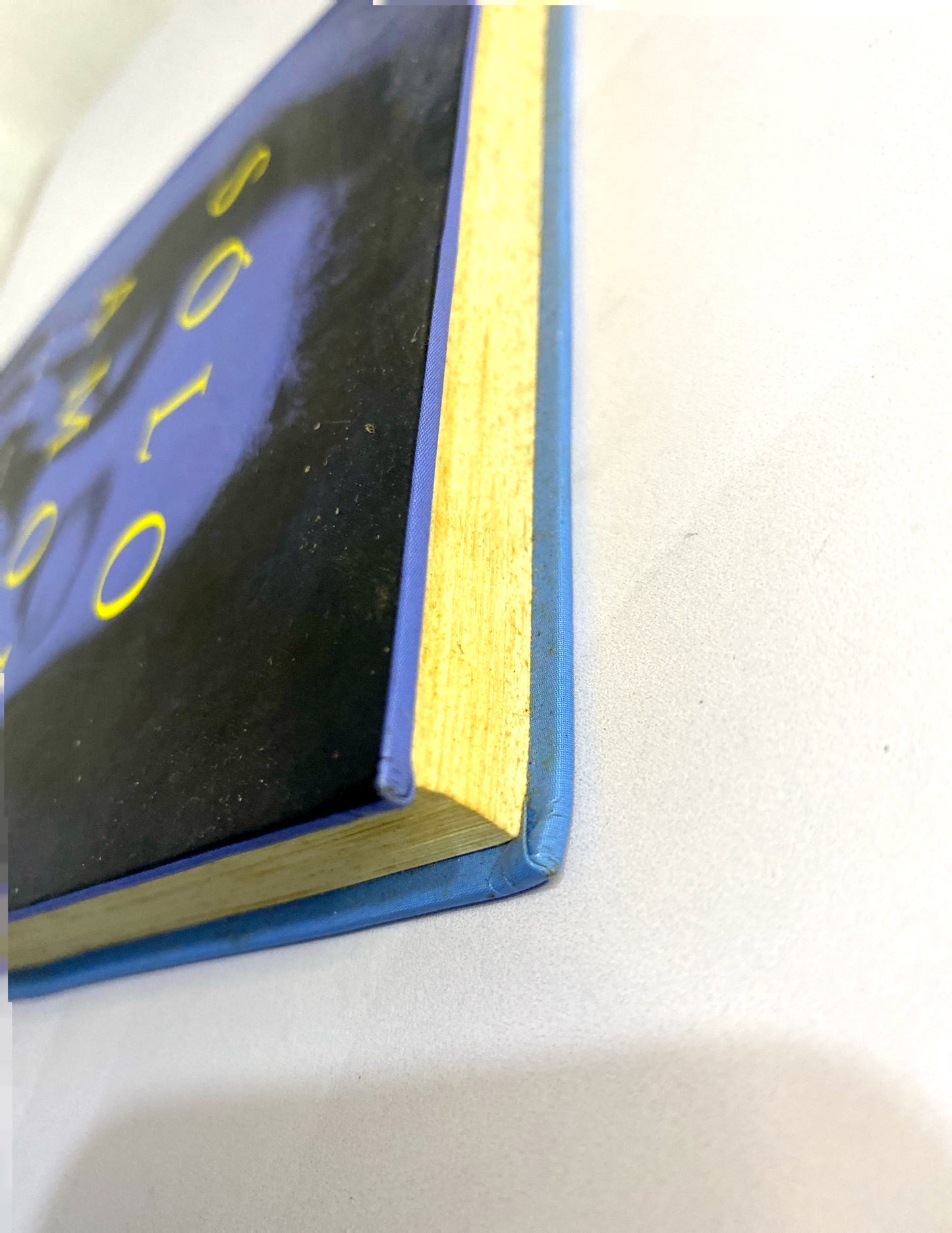 Sólo amor | Erich Segal