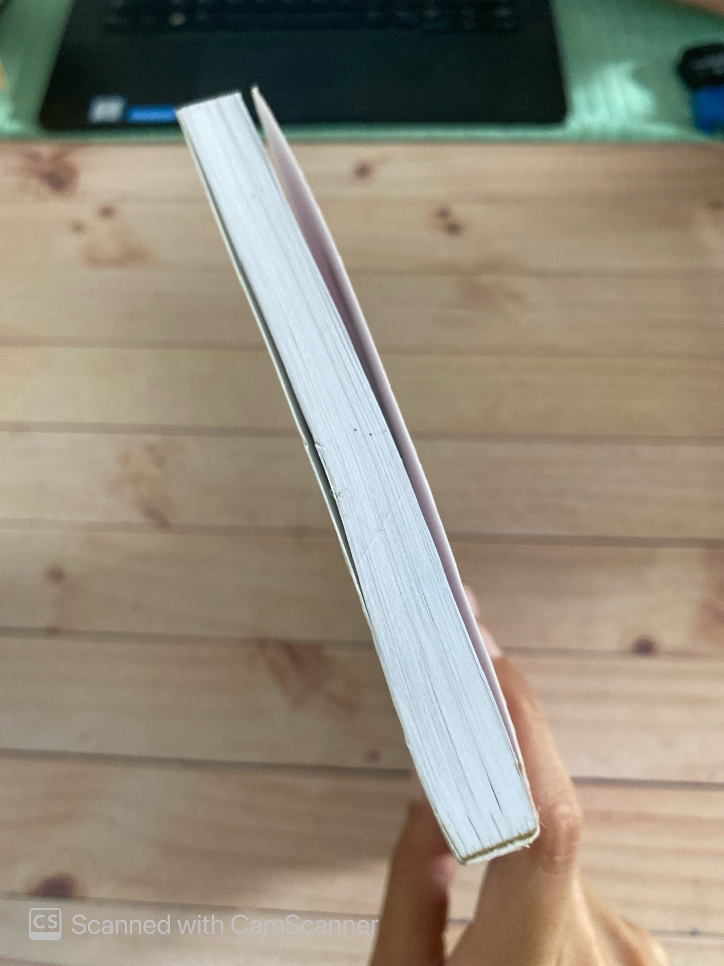 The boob girls | Joy Johnson