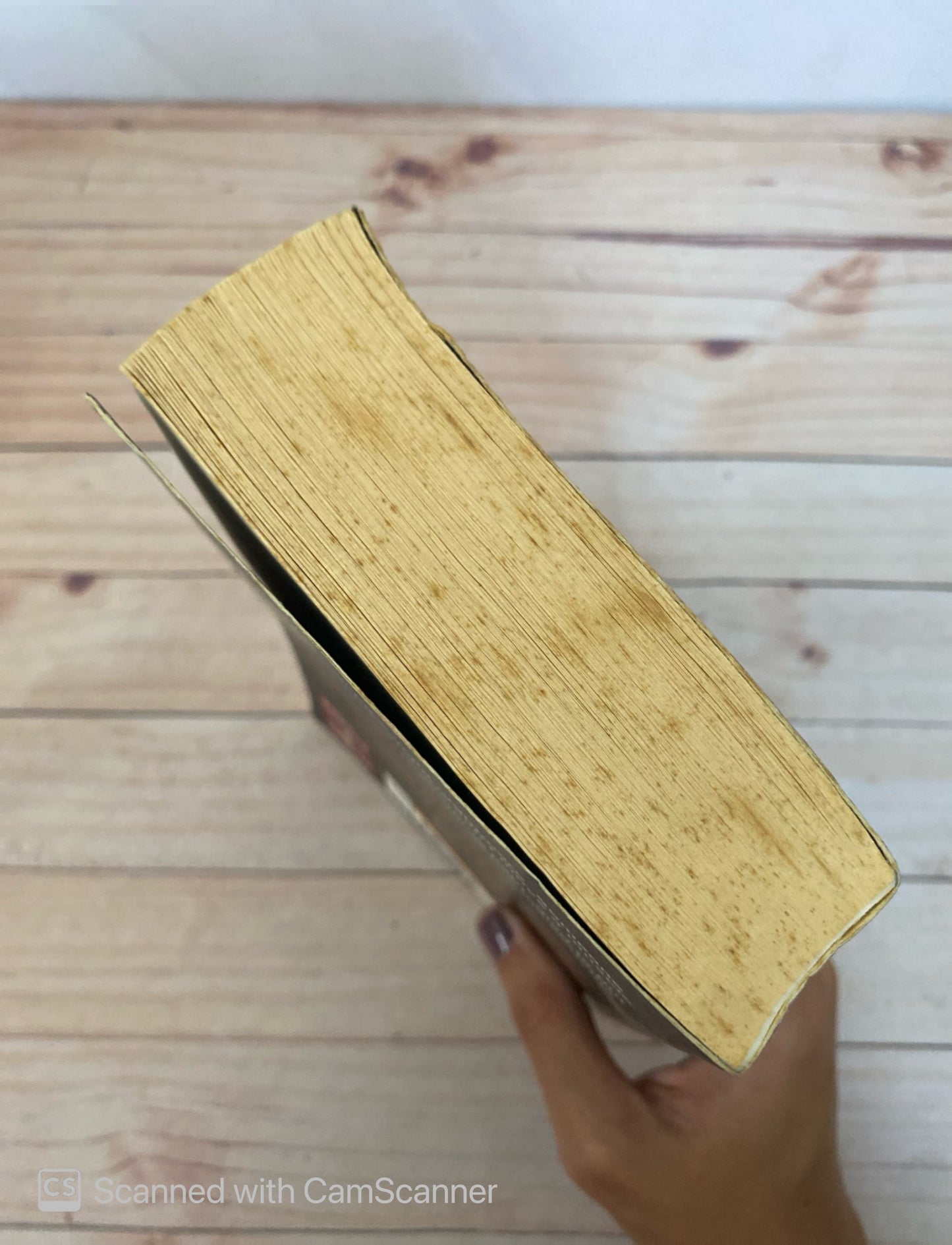 The creeper | Tania Carver