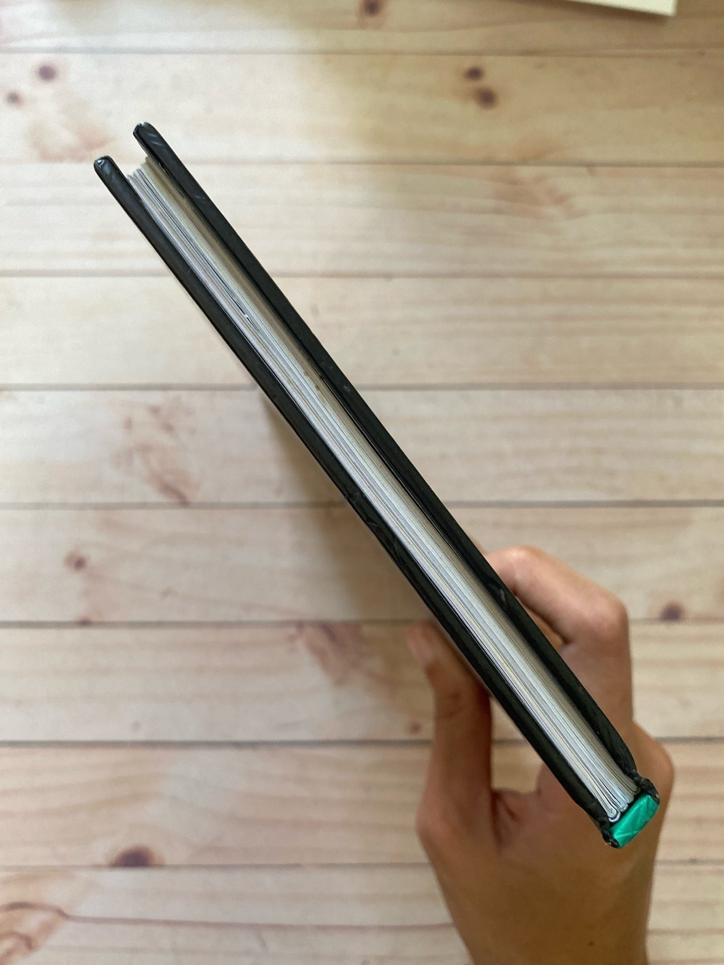 The holocaust | Susanna Davidson