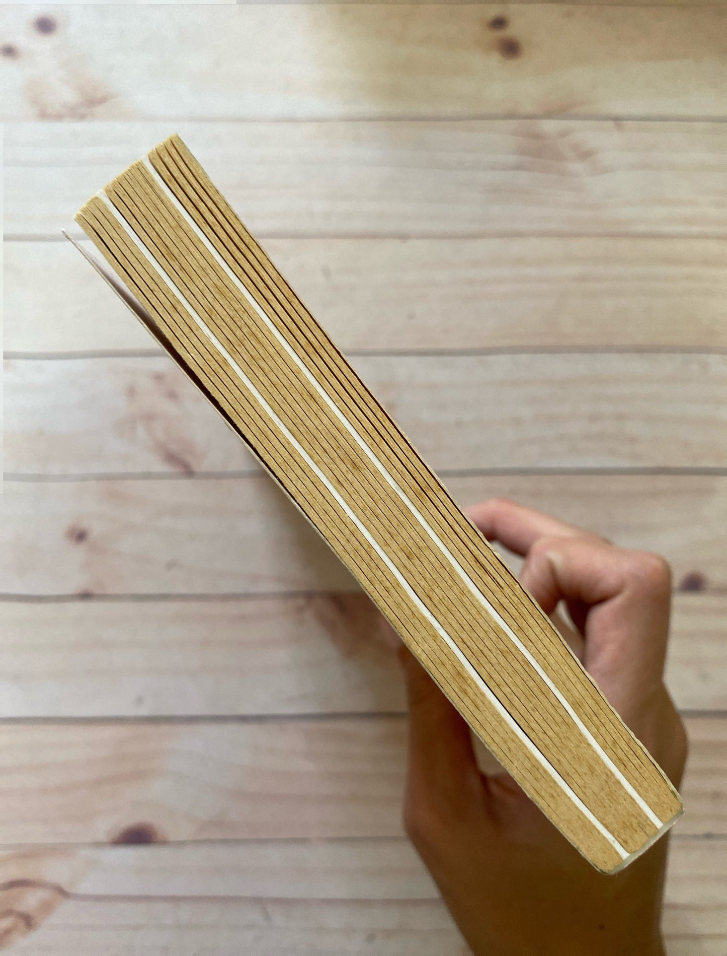 The last seven months of Anne Frank | Willy Lindwer