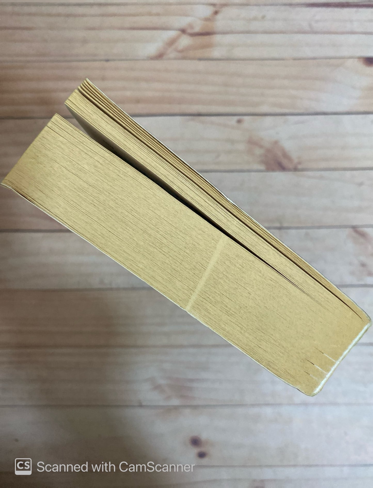 The wolf of wall street | Jordan Belfort