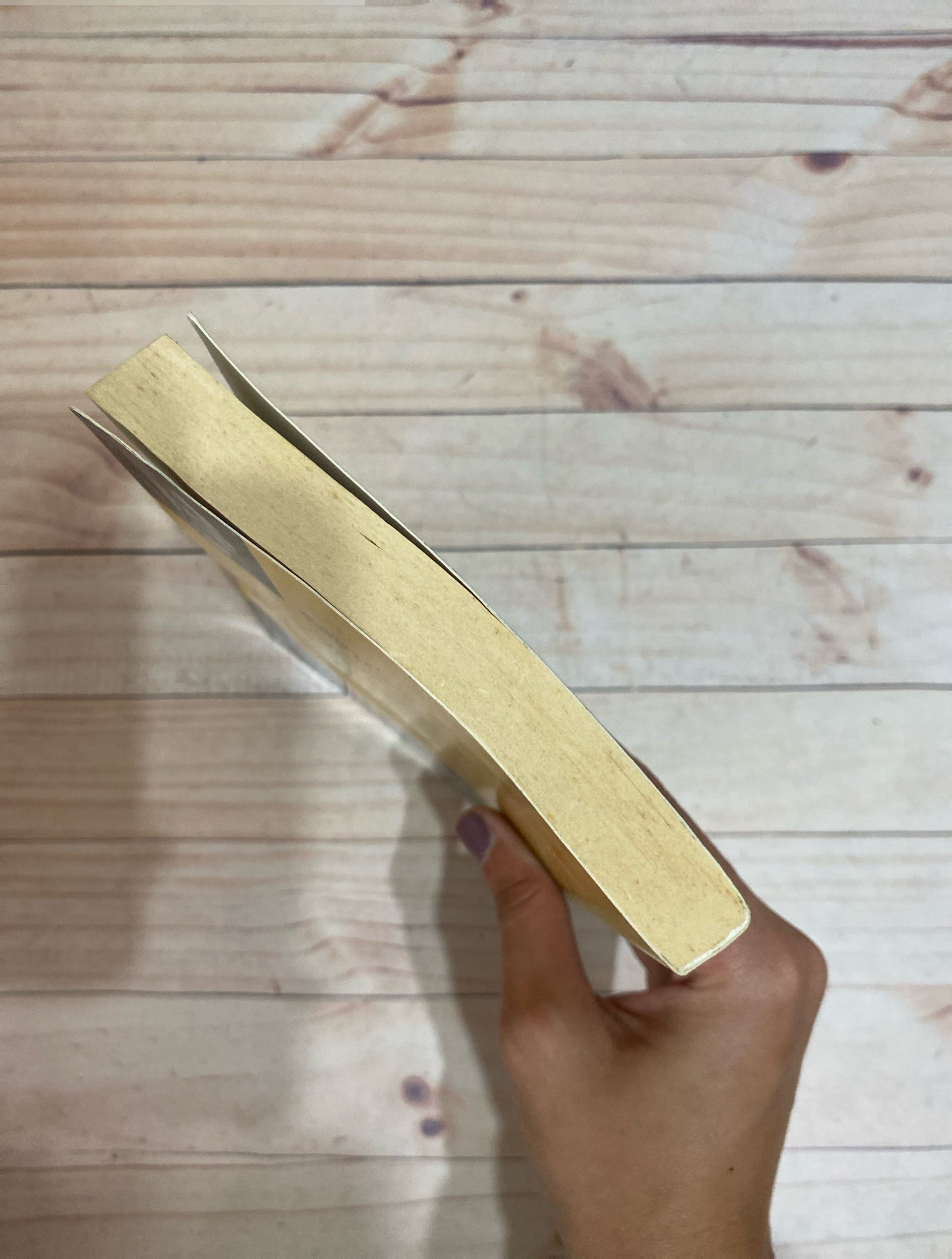 Tierra Firme | Matilde Asensi