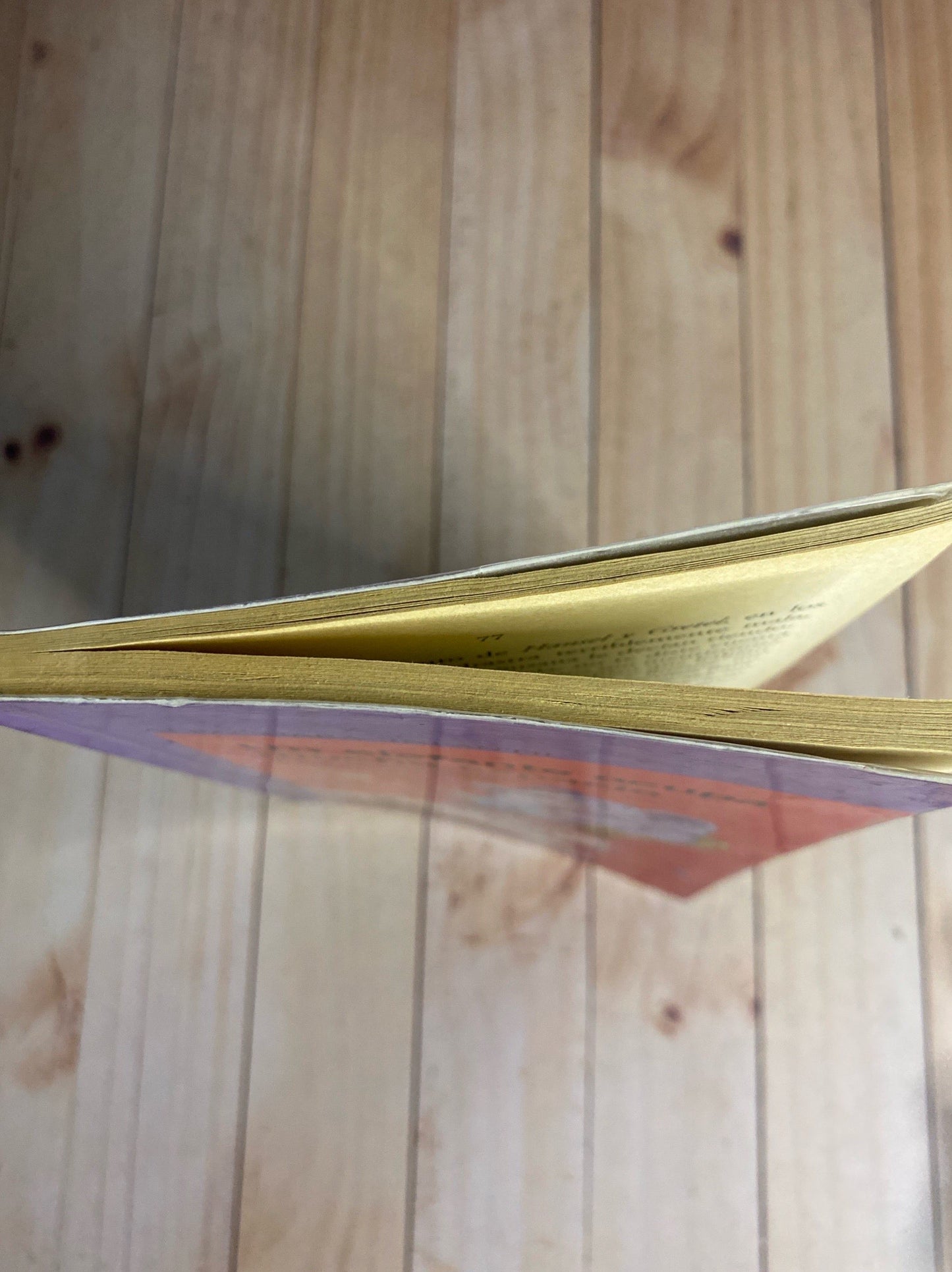 Un elefante ocupa mucho espacio | Elsa Bornemann