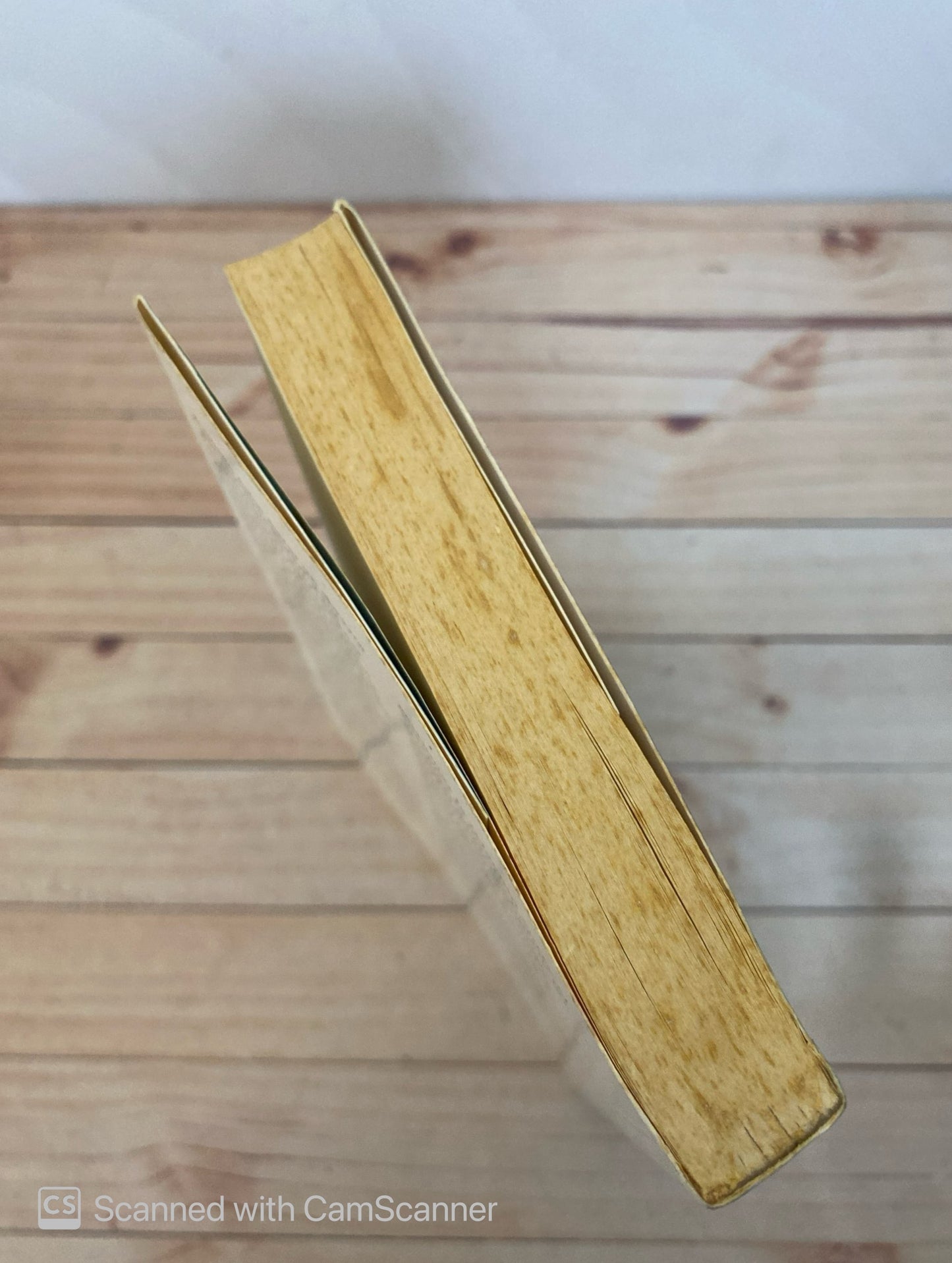 Una mochila para el universo | Elsa Punset