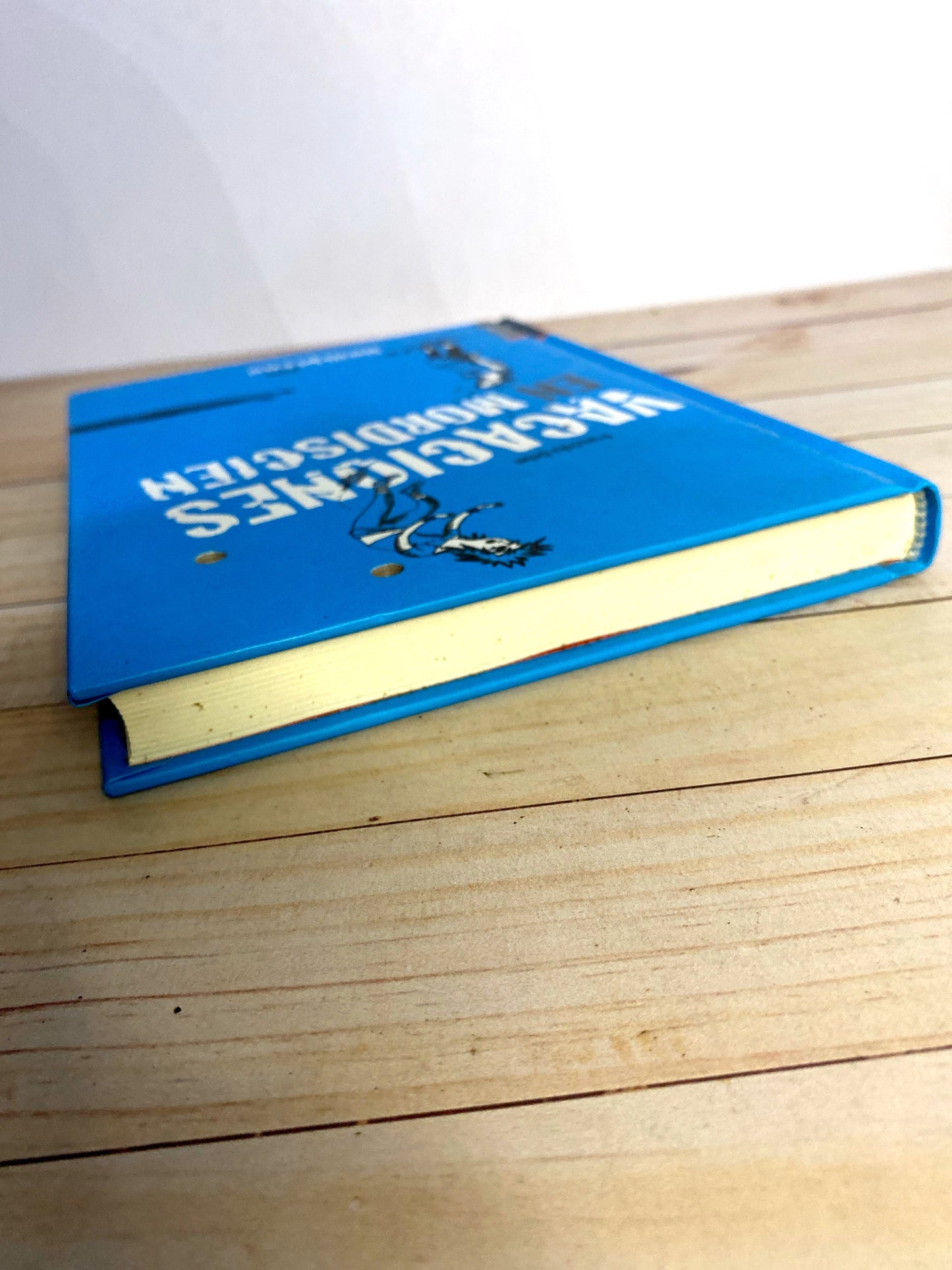 Vacaciones en mordiscien | Franziska Gehm