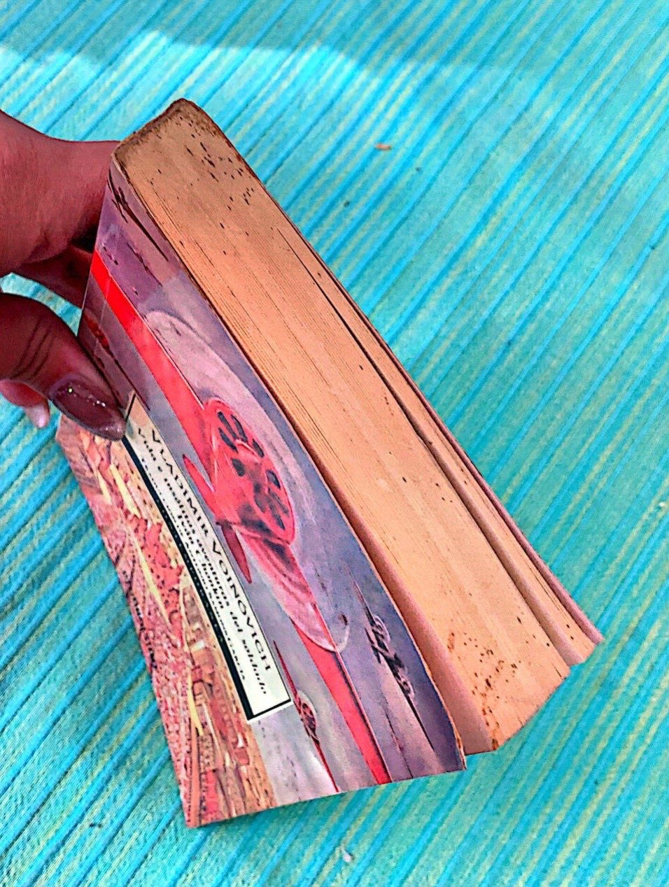 Vida e insólitas aventuras del soldado Iván Chonkin | Vladímir Vainóvich |
