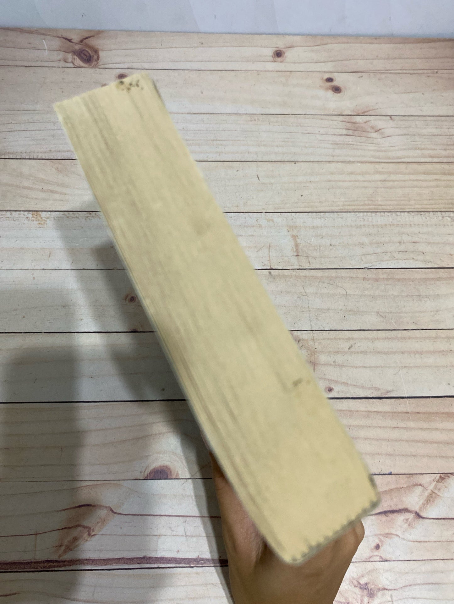 Wither | Lauren Destefano