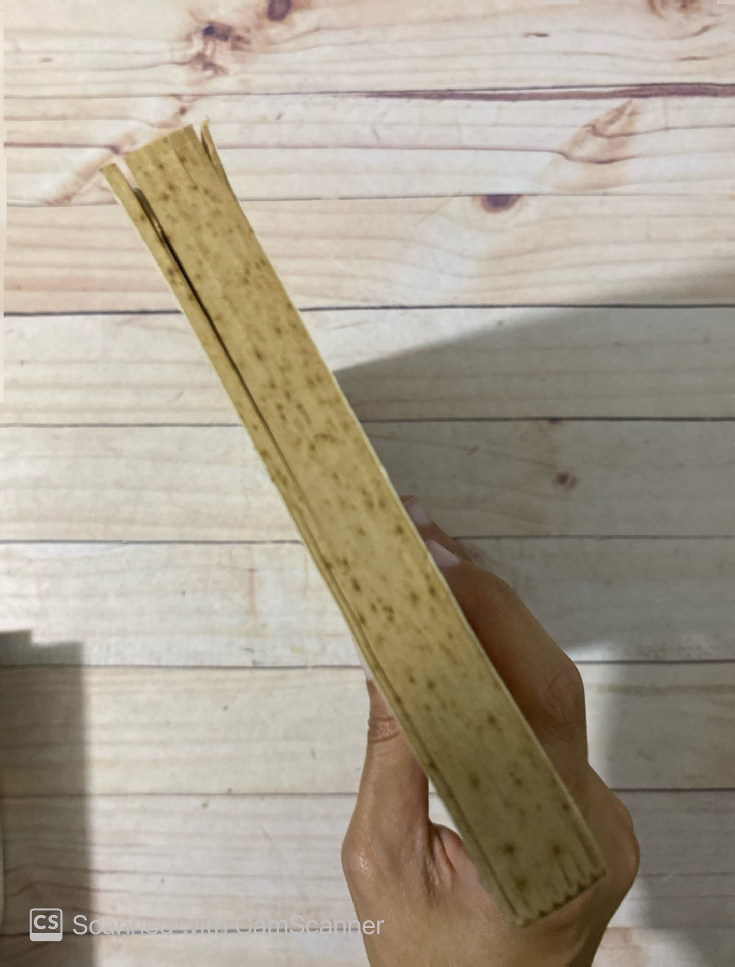 Burocracia y tecnocracia | Manuel García-Pelayo