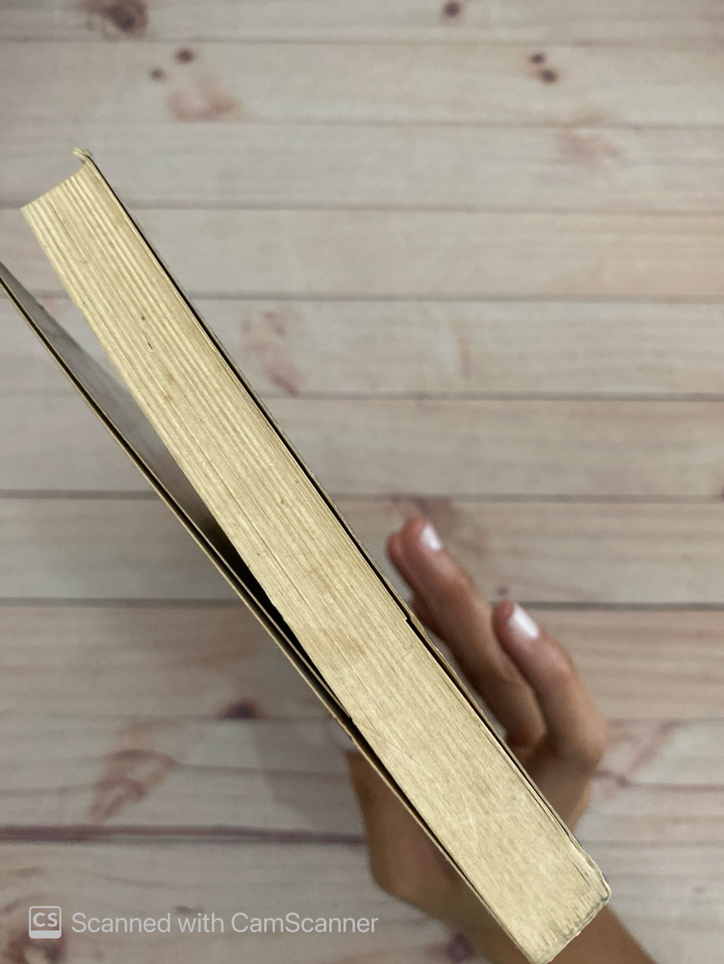 El lémur | Benjamin Black